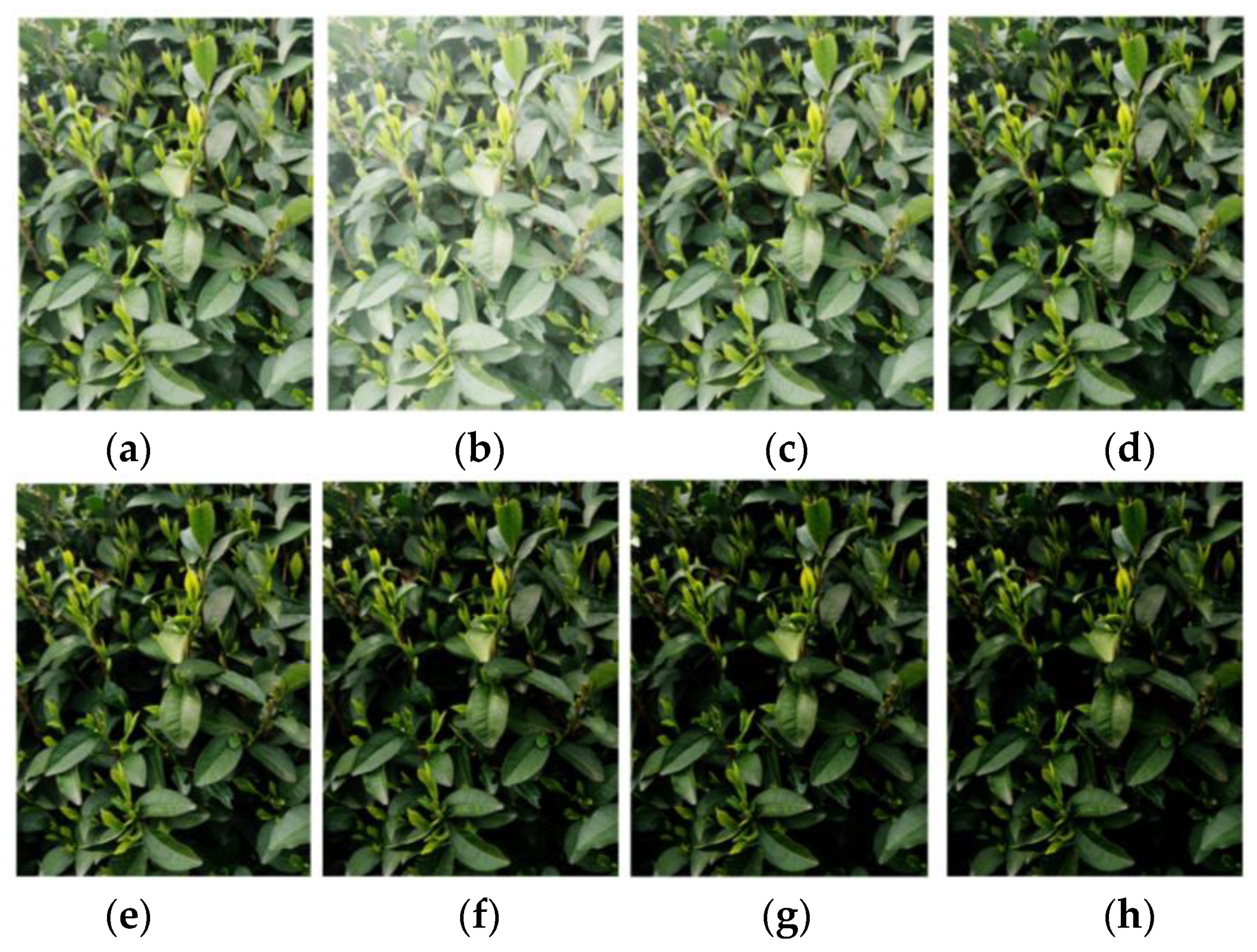 Sensors 23 06576 g014