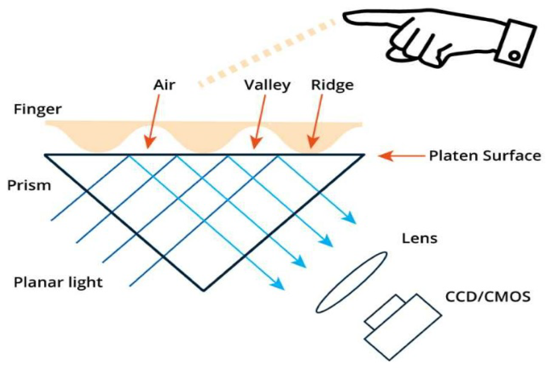 Sensors 23 06591 g003