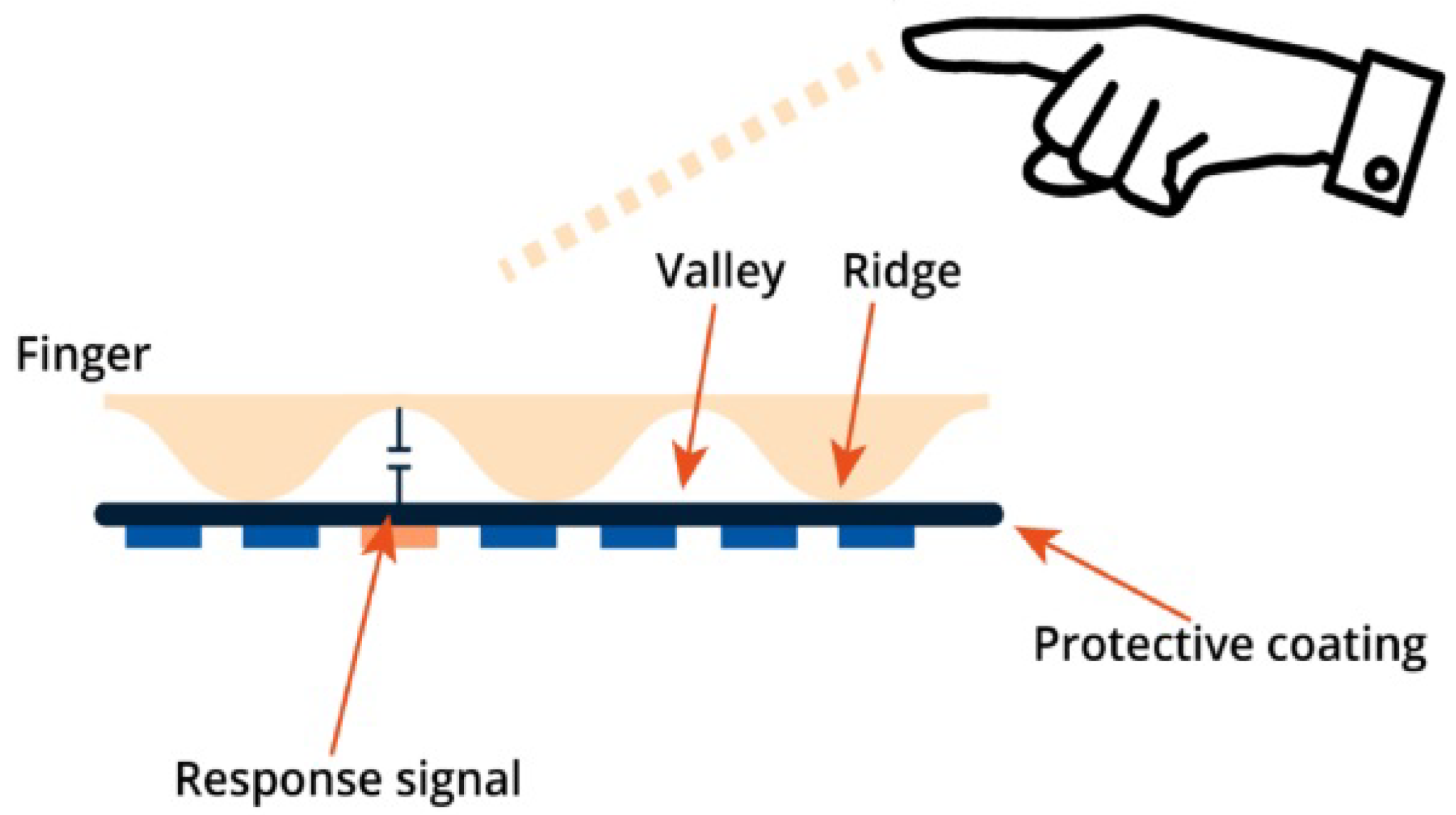 Sensors 23 06591 g004