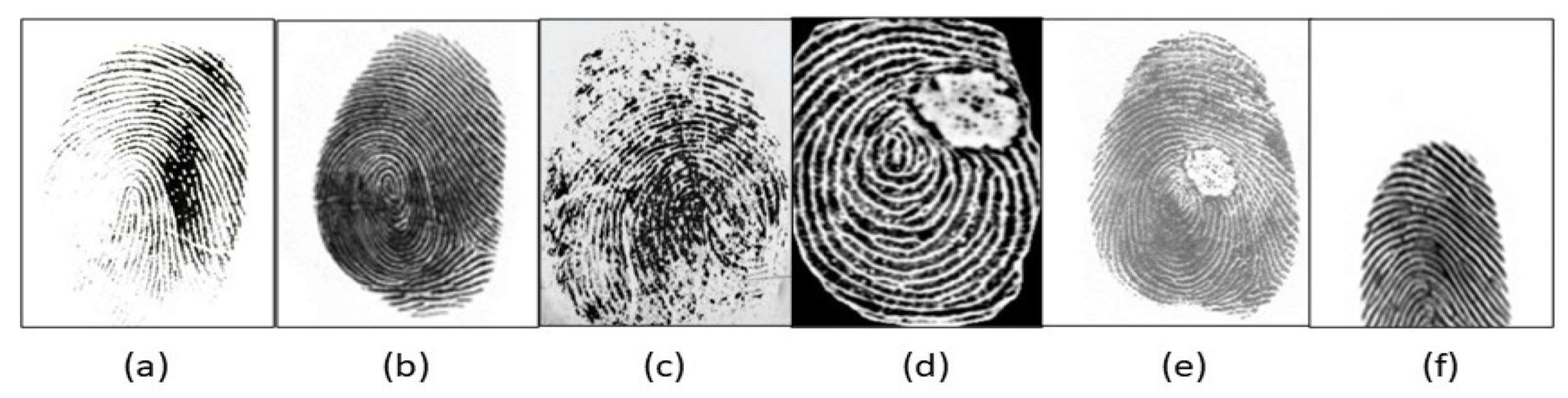 Sensors 23 06591 g009