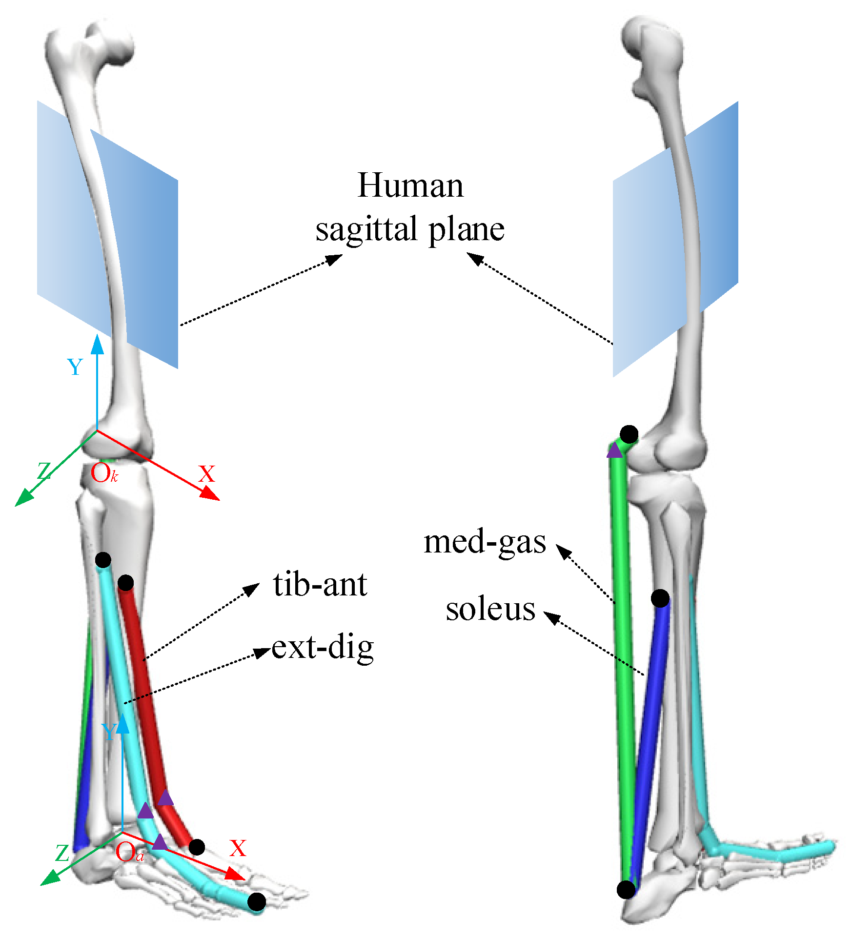 Sensors 23 06607 g003
