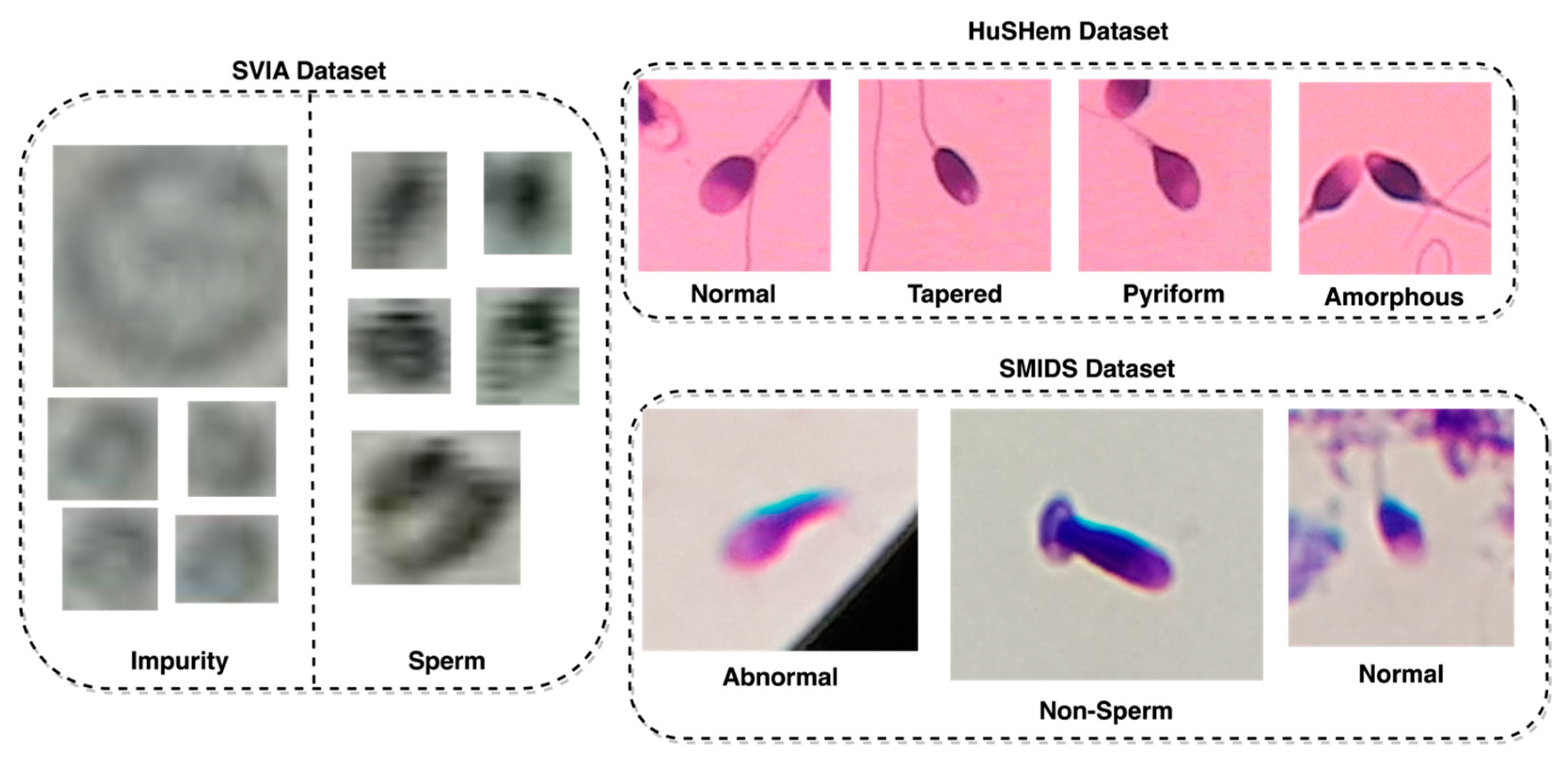 Sensors 23 06613 g002 Sensors 23 06613 g002