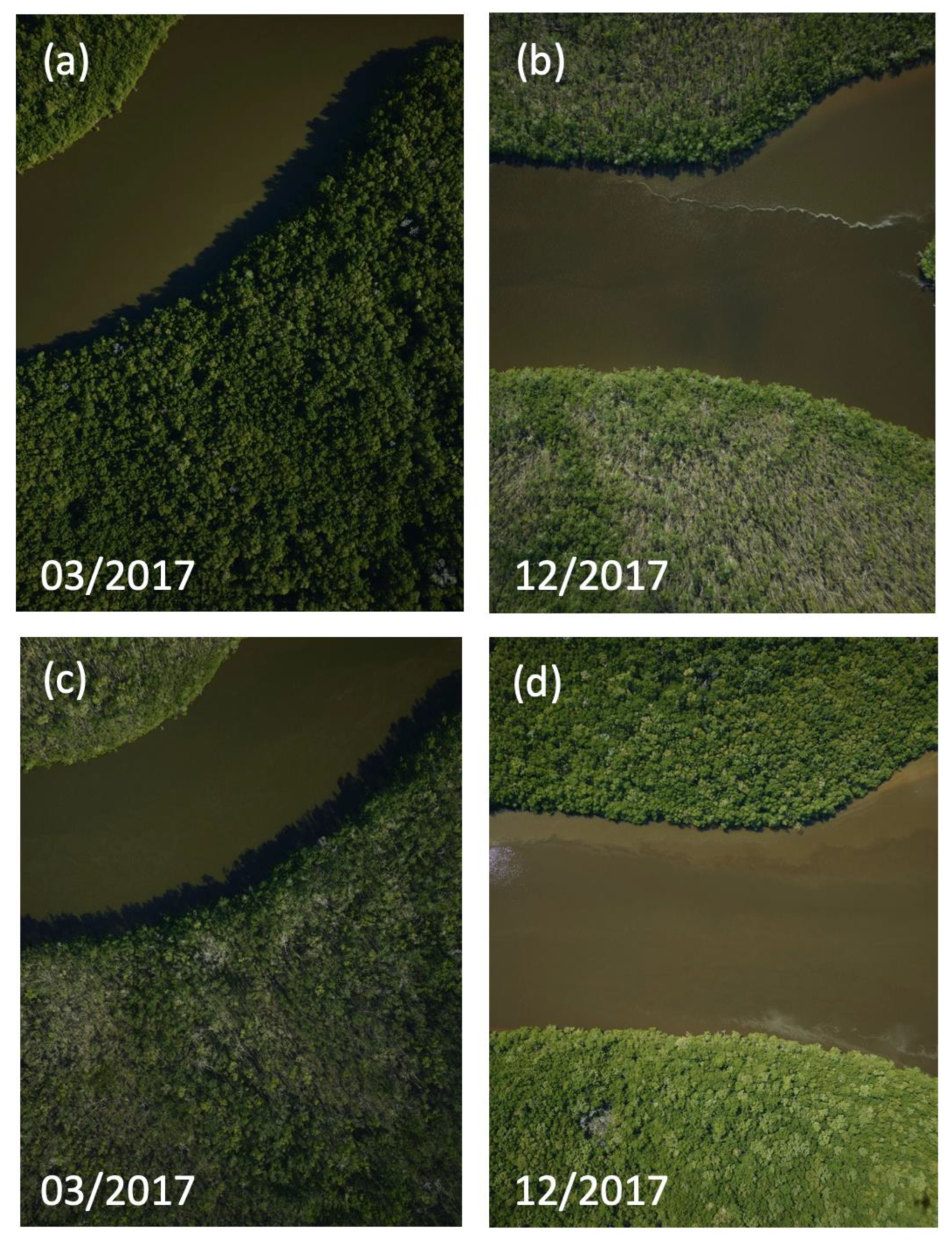 Sensors 23 06669 g002