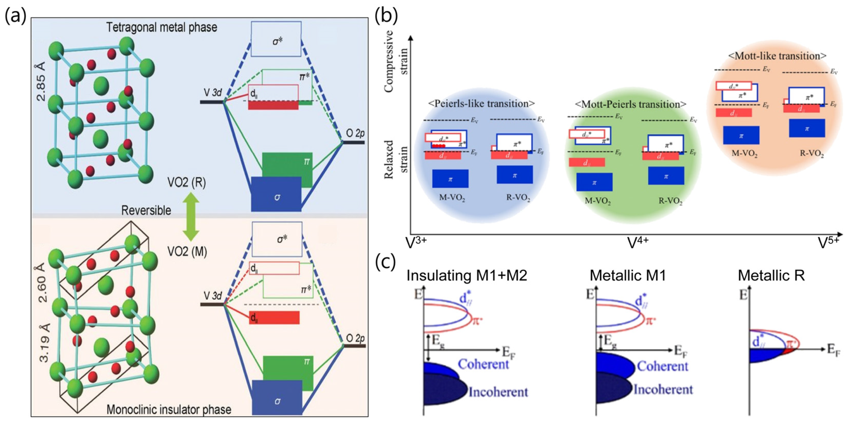 Sensors 23 06715 g001