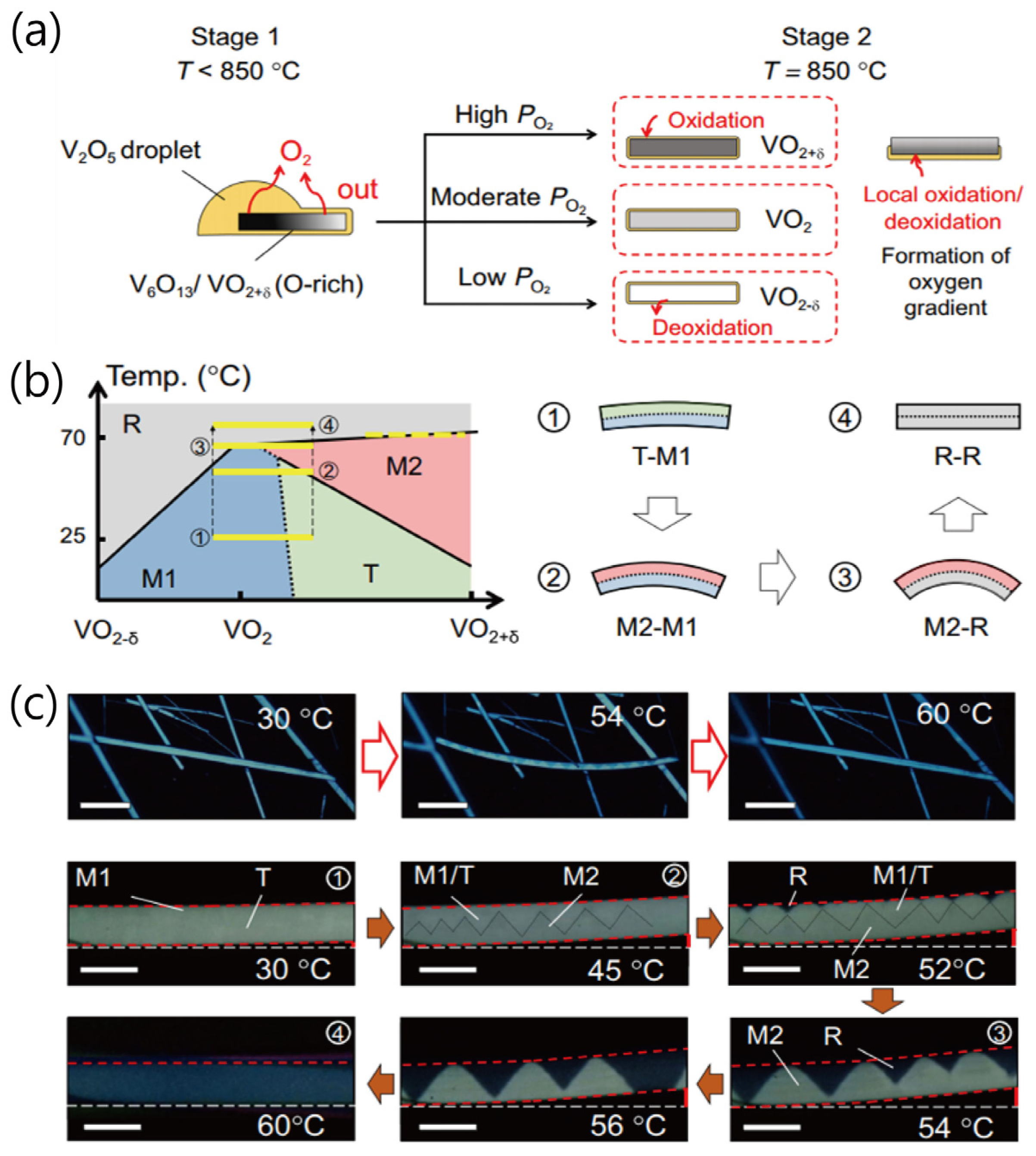 Sensors 23 06715 g003