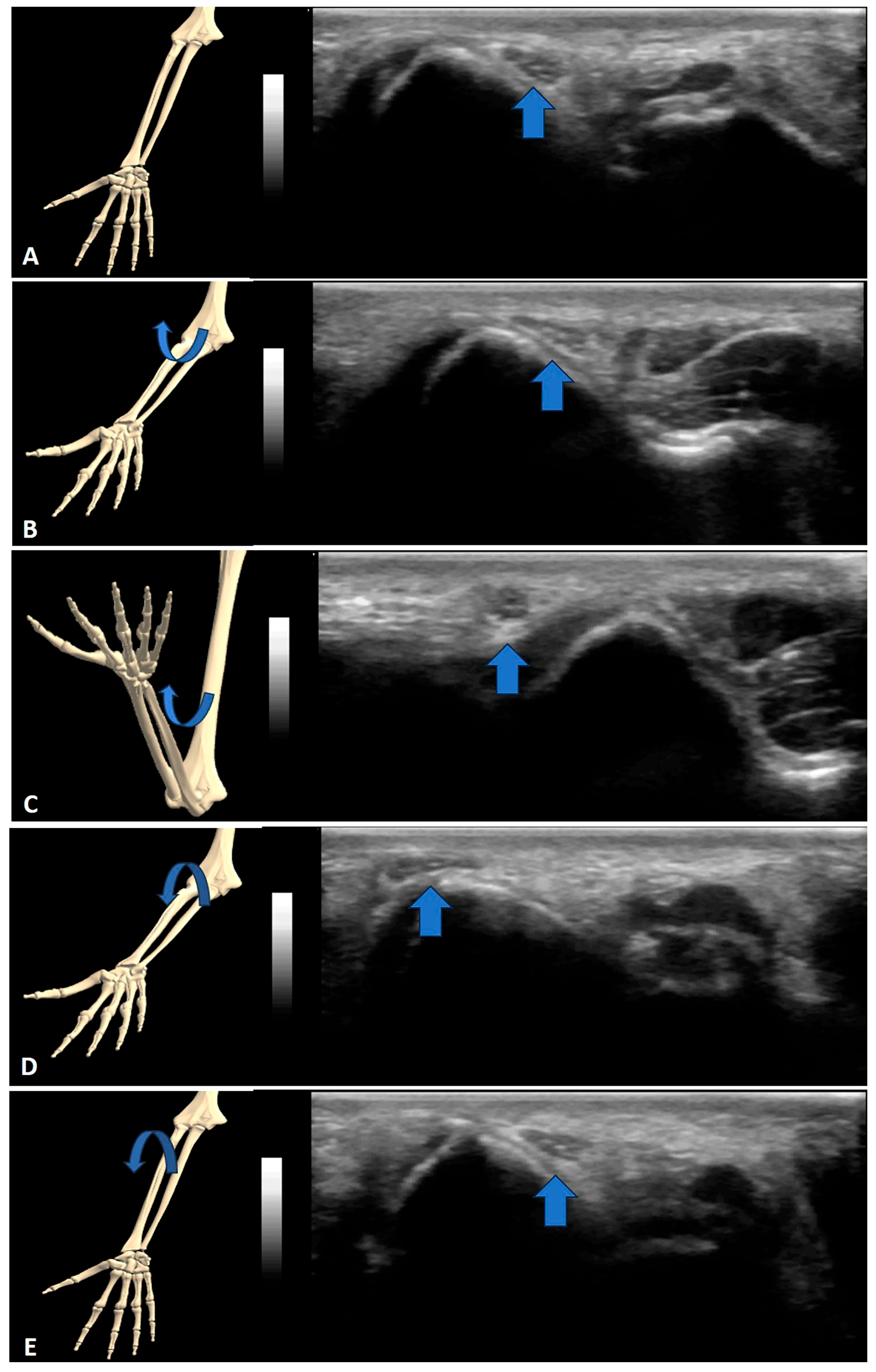 Sensors 23 06732 g002