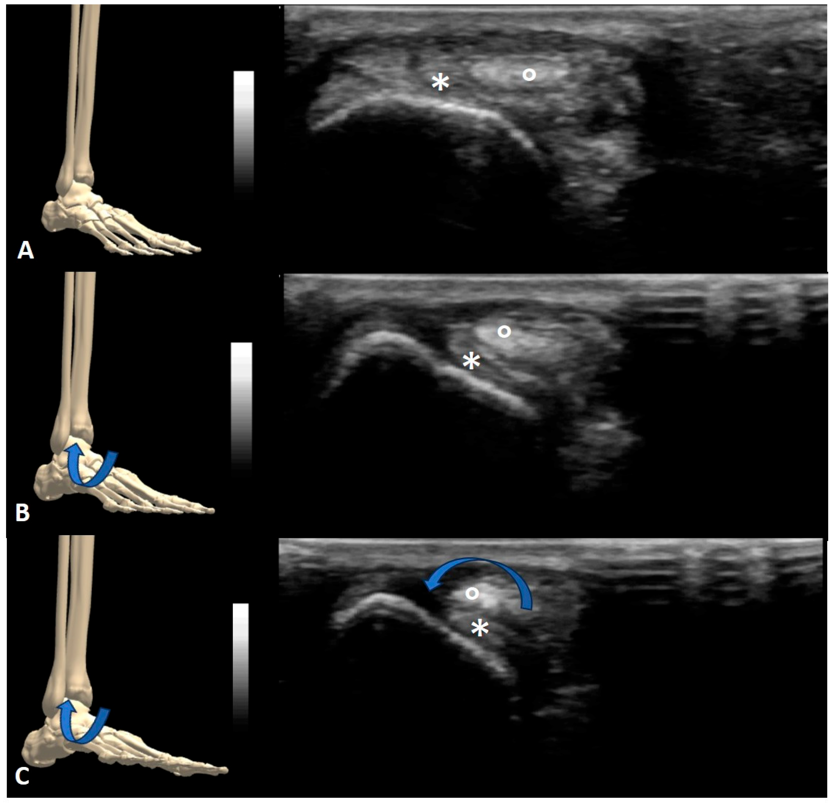 Sensors 23 06732 g003