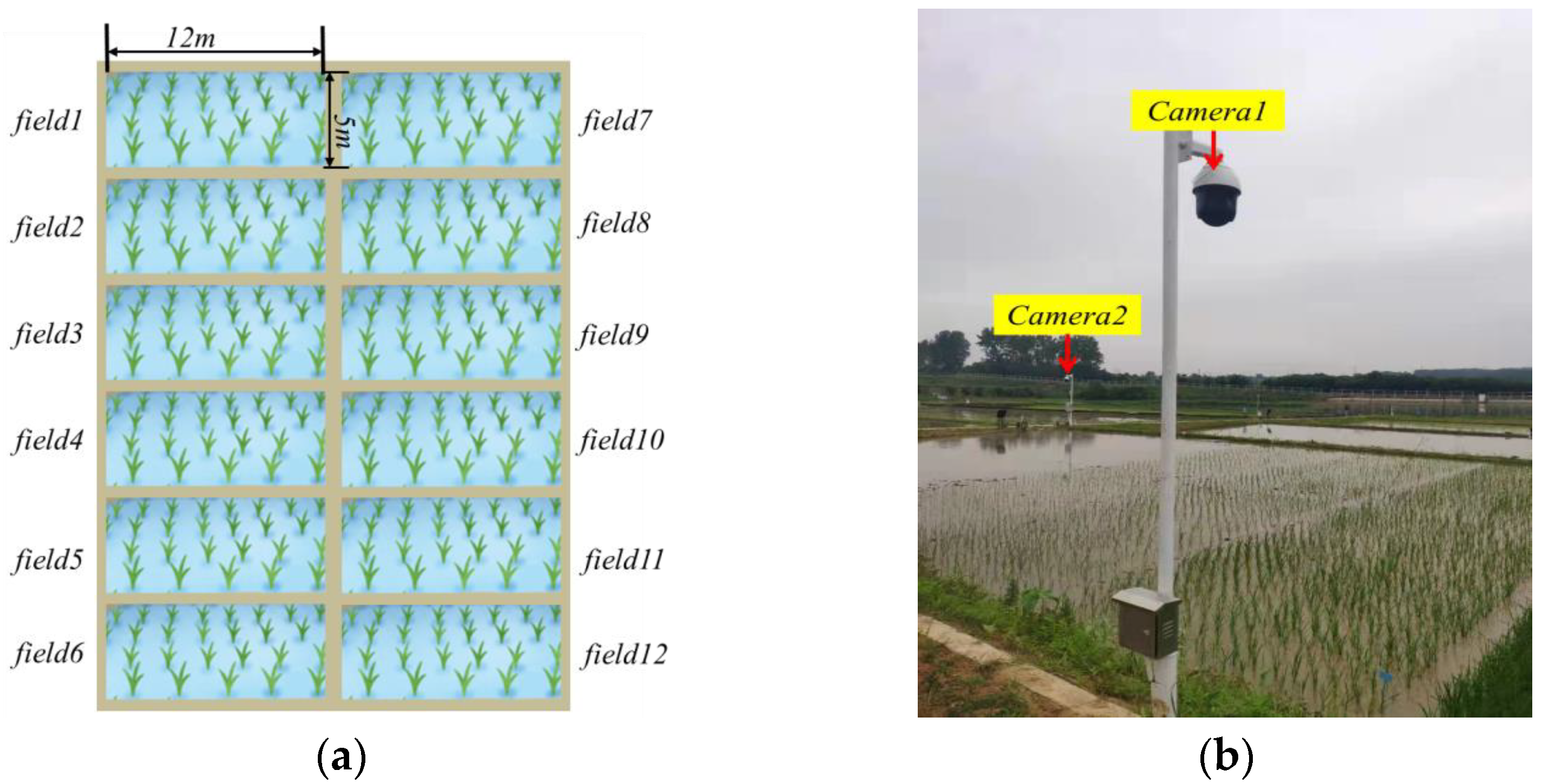 Sensors 23 06738 g001