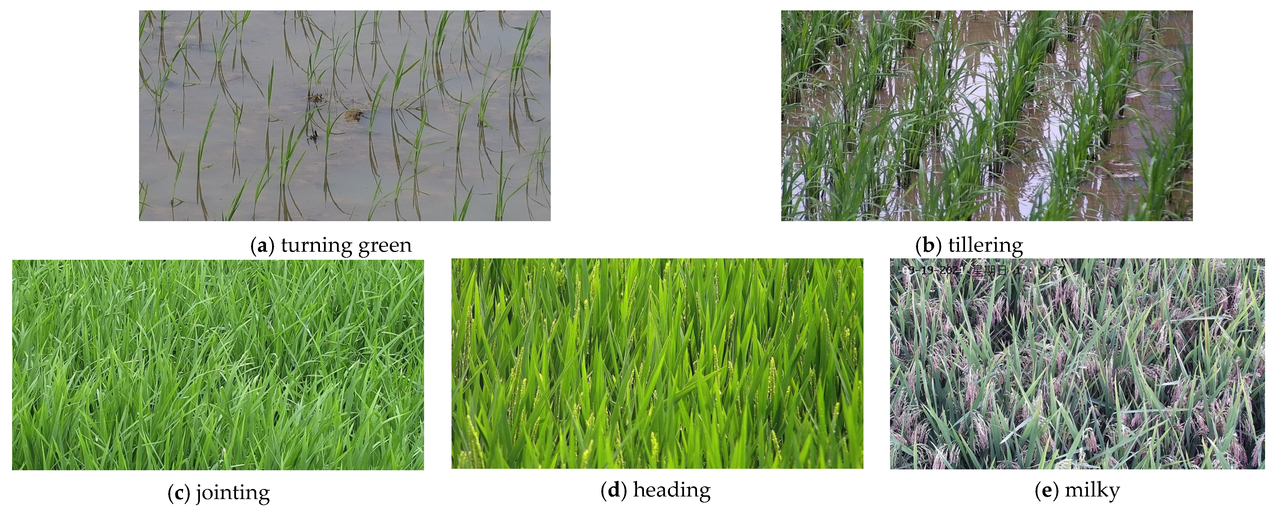 Sensors 23 06738 g002