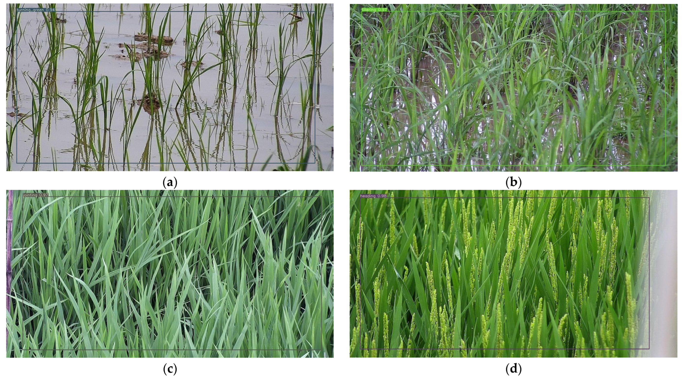 Sensors 23 06738 g009a