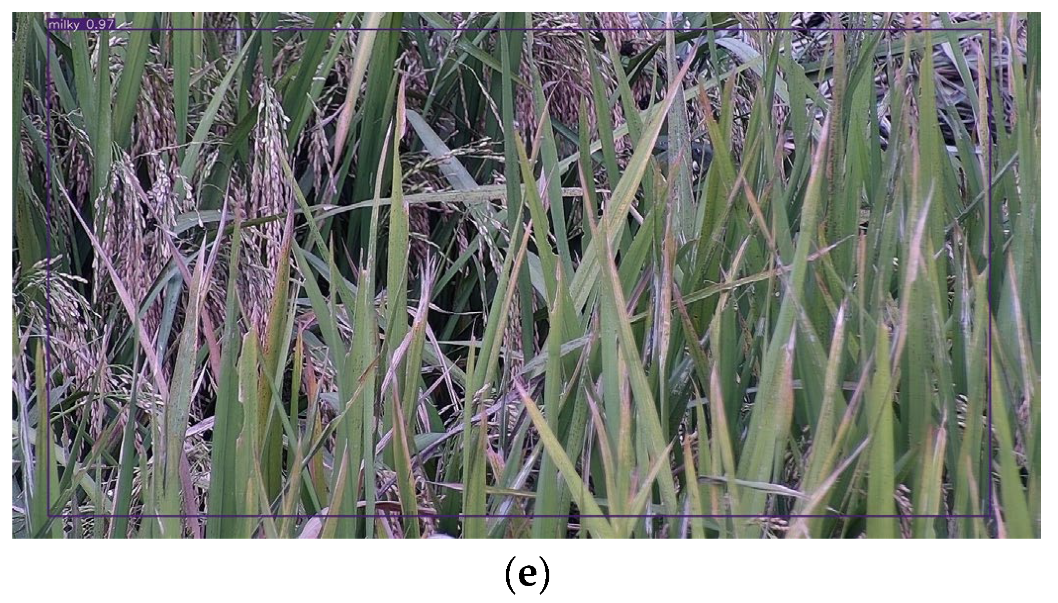 Sensors 23 06738 g009b