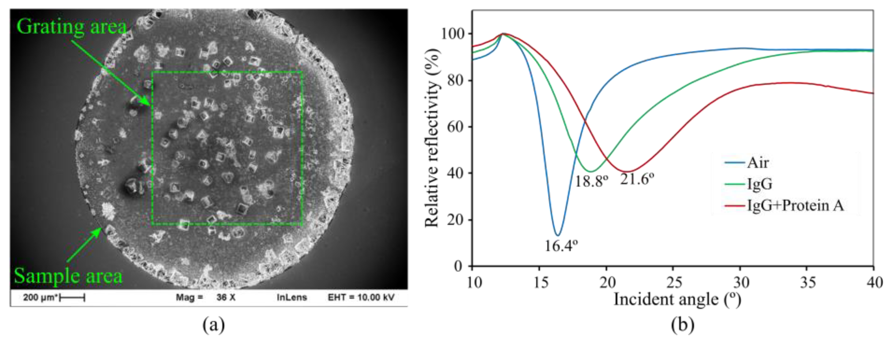 Sensors 23 06743 g010