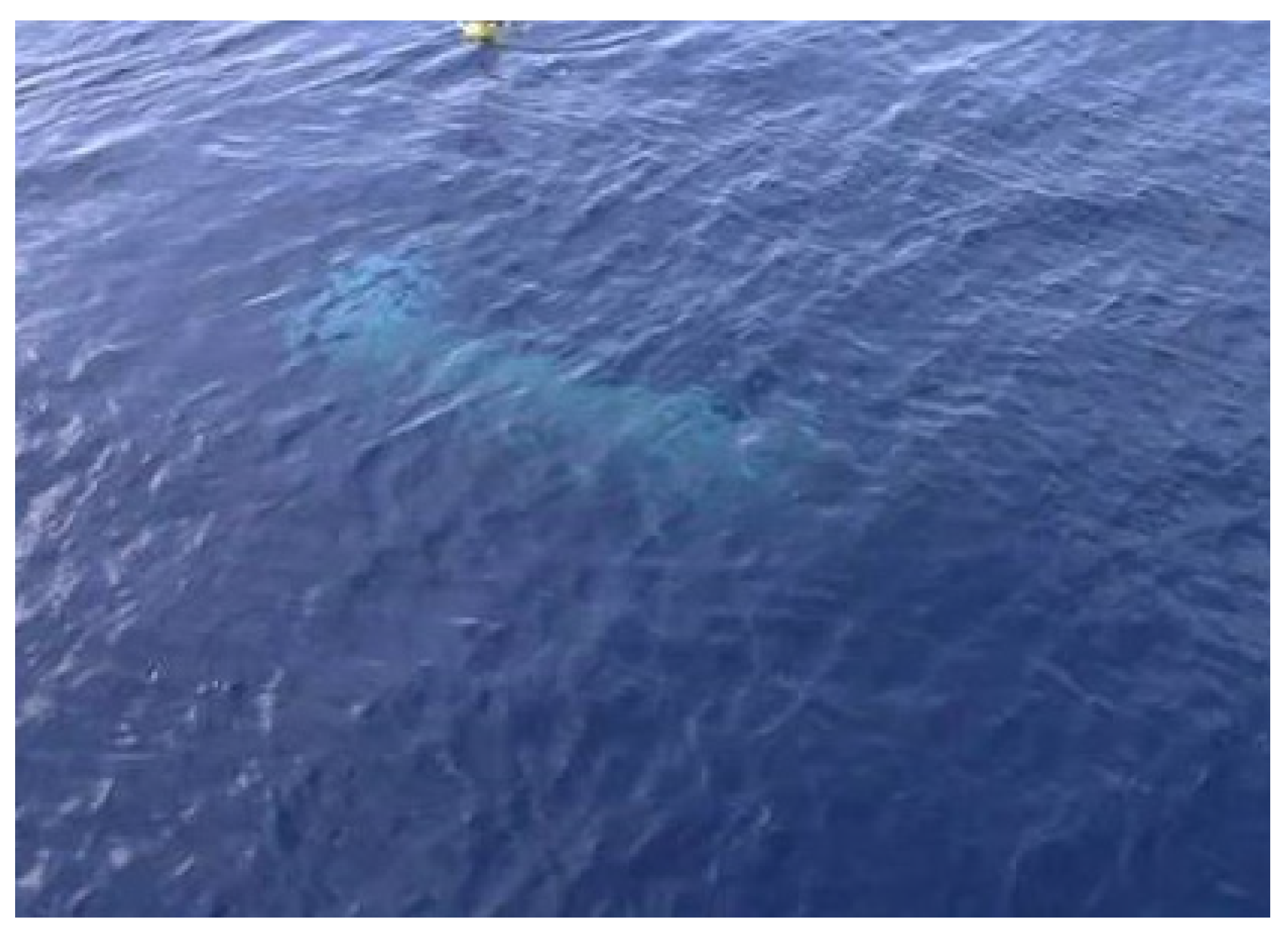 Sensors 23 06772 g013