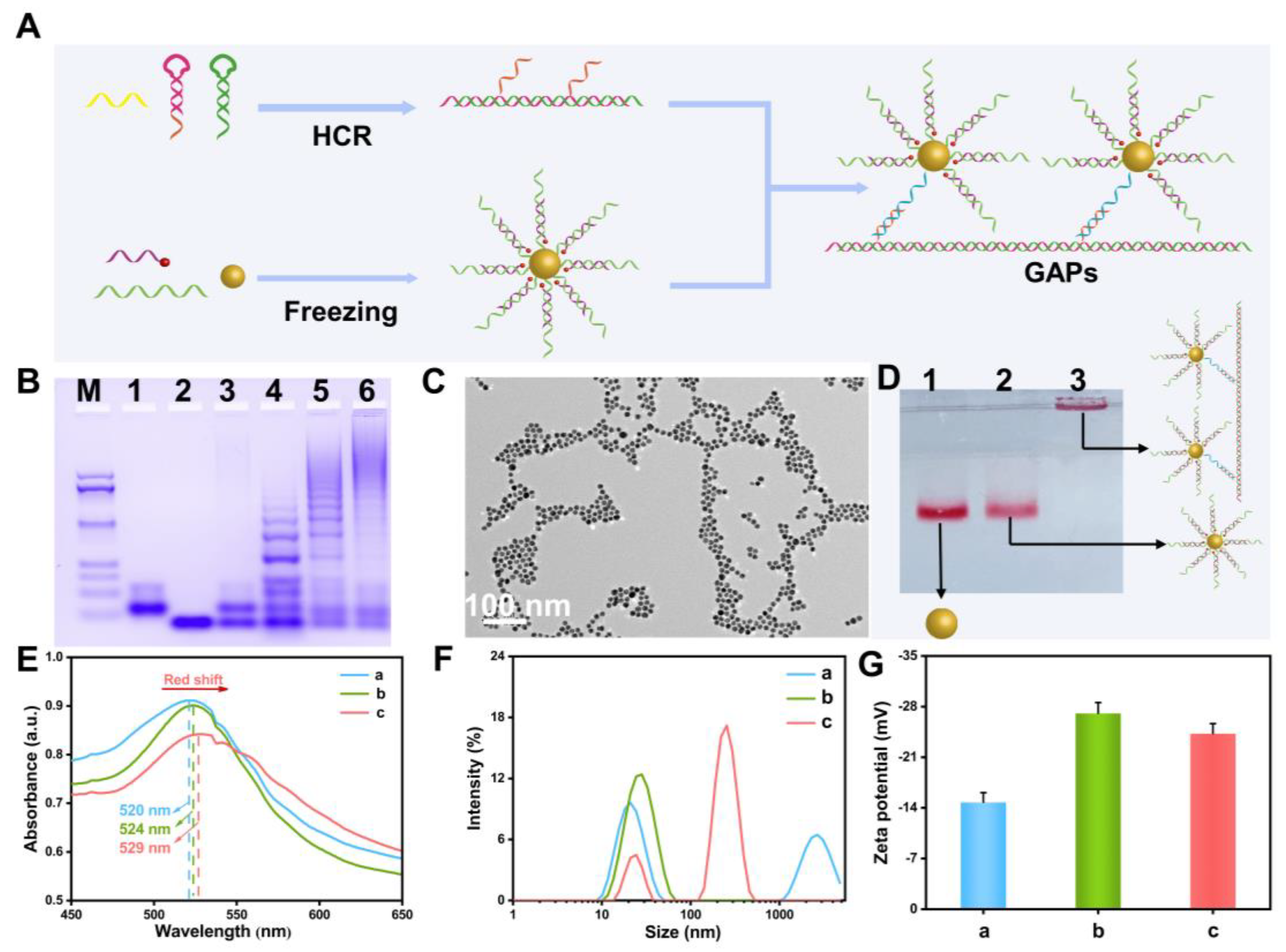 Sensors 23 06877 g001