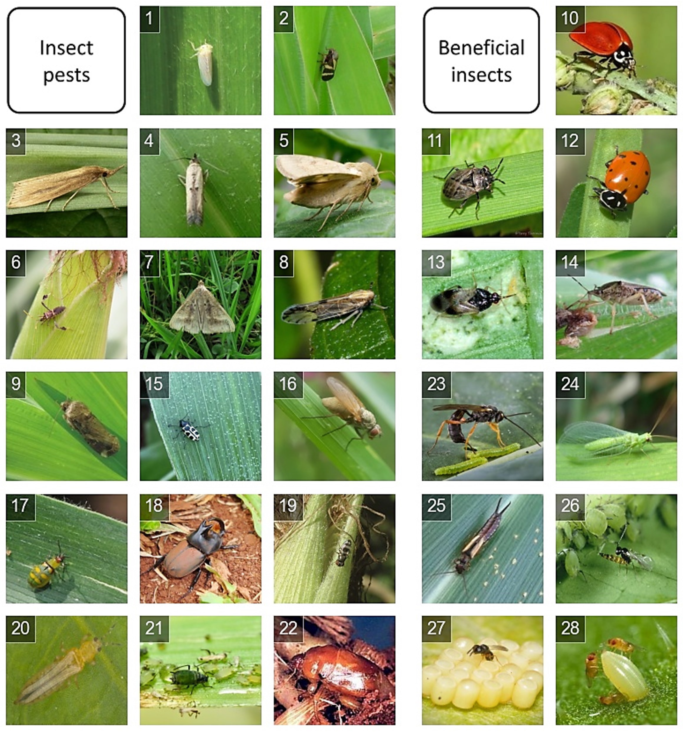 Sensors 23 06880 g001