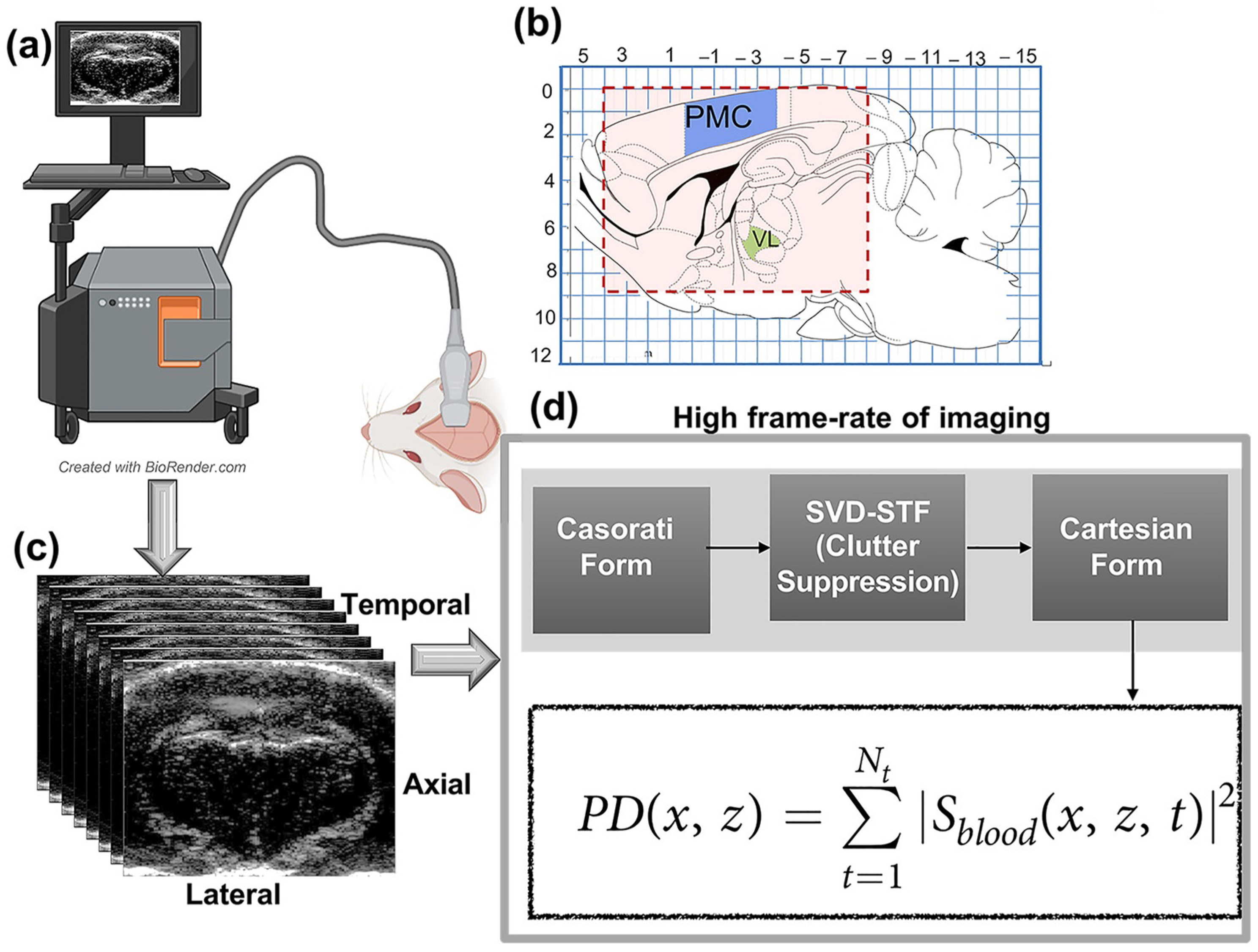 Sensors 23 06902 g001