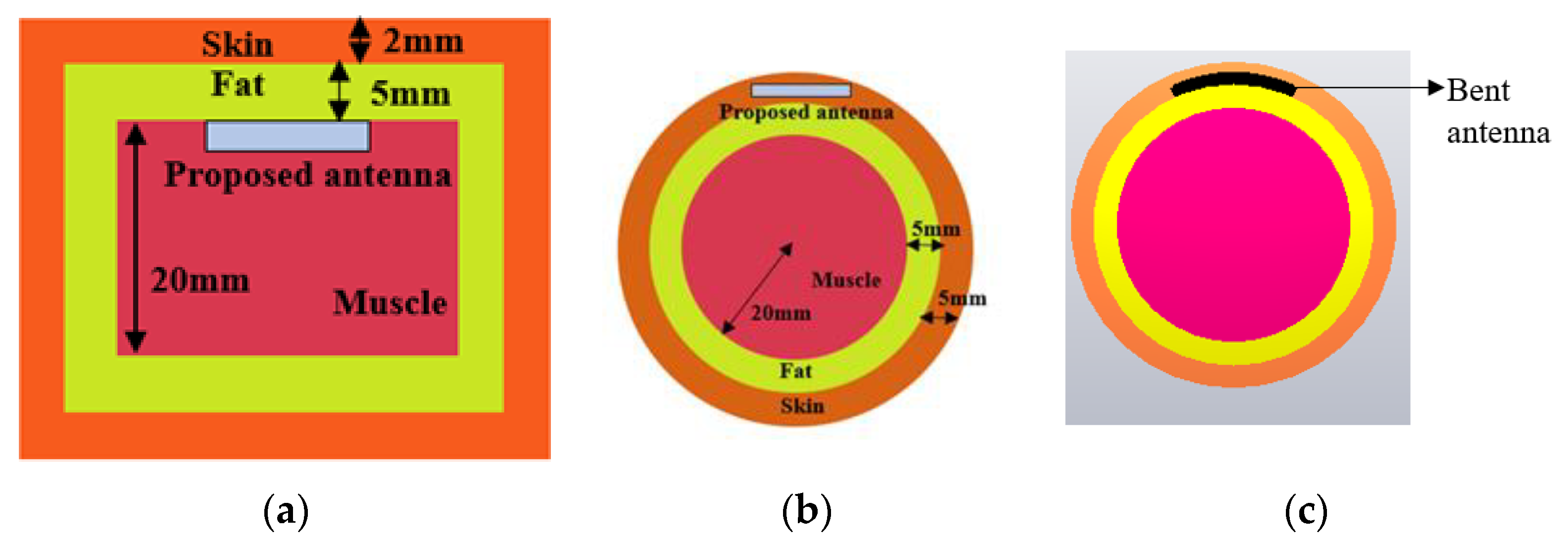 Sensors 23 06989 g001 Sensors 23 06989 g001