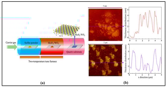 Sensors 23 07024 g011