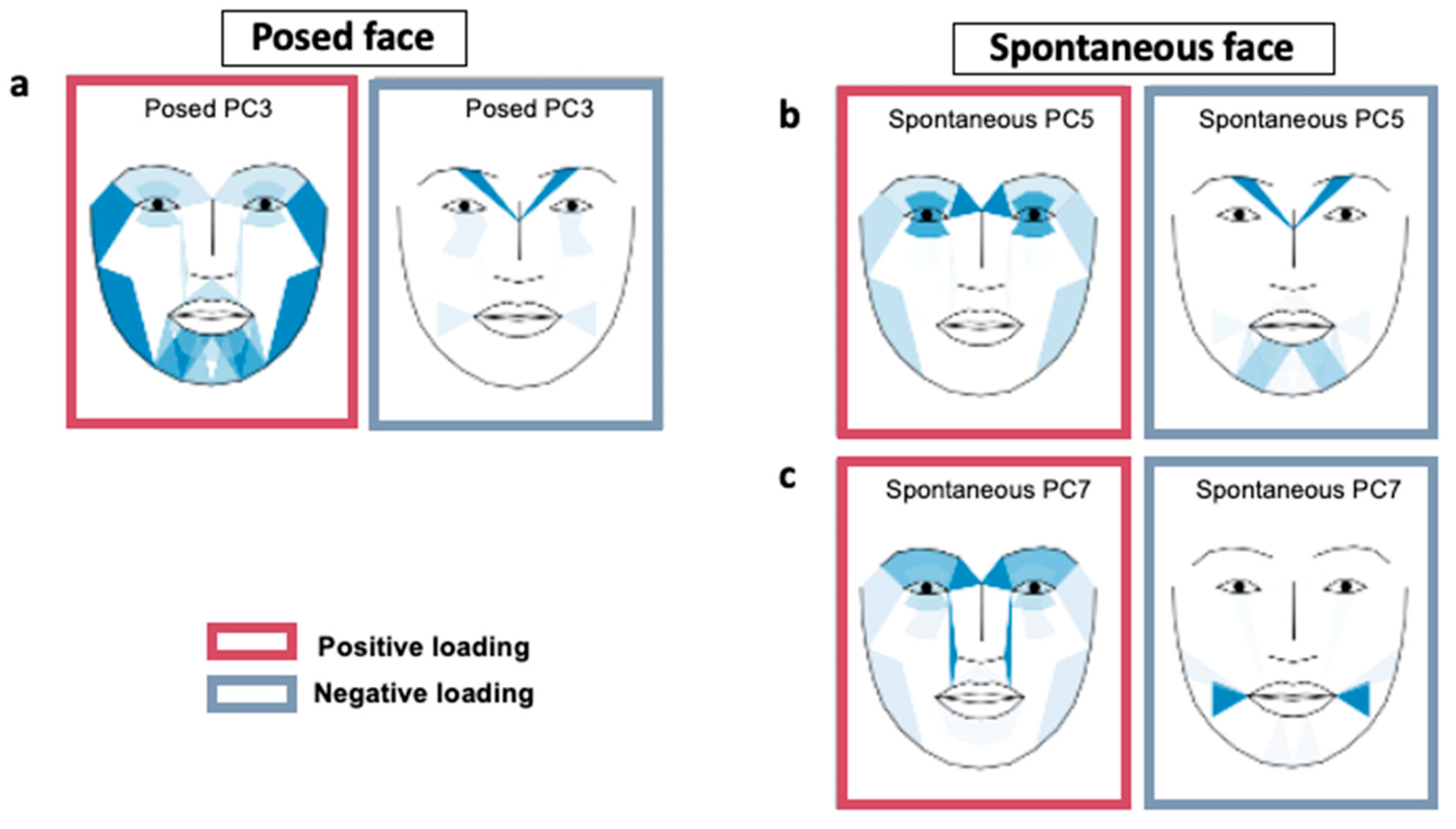 Sensors 23 07080 g001