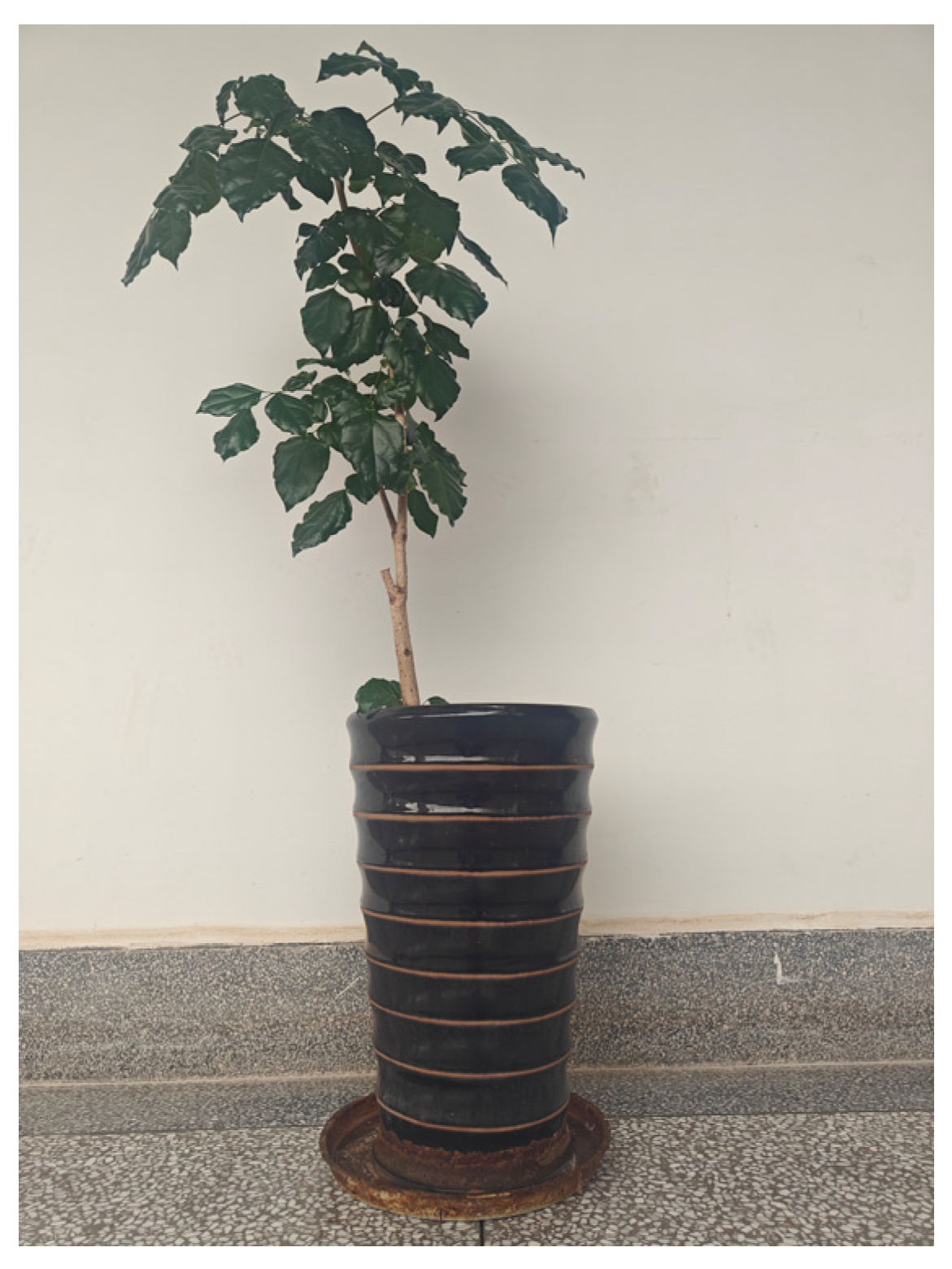 Sensors 23 07088 g020