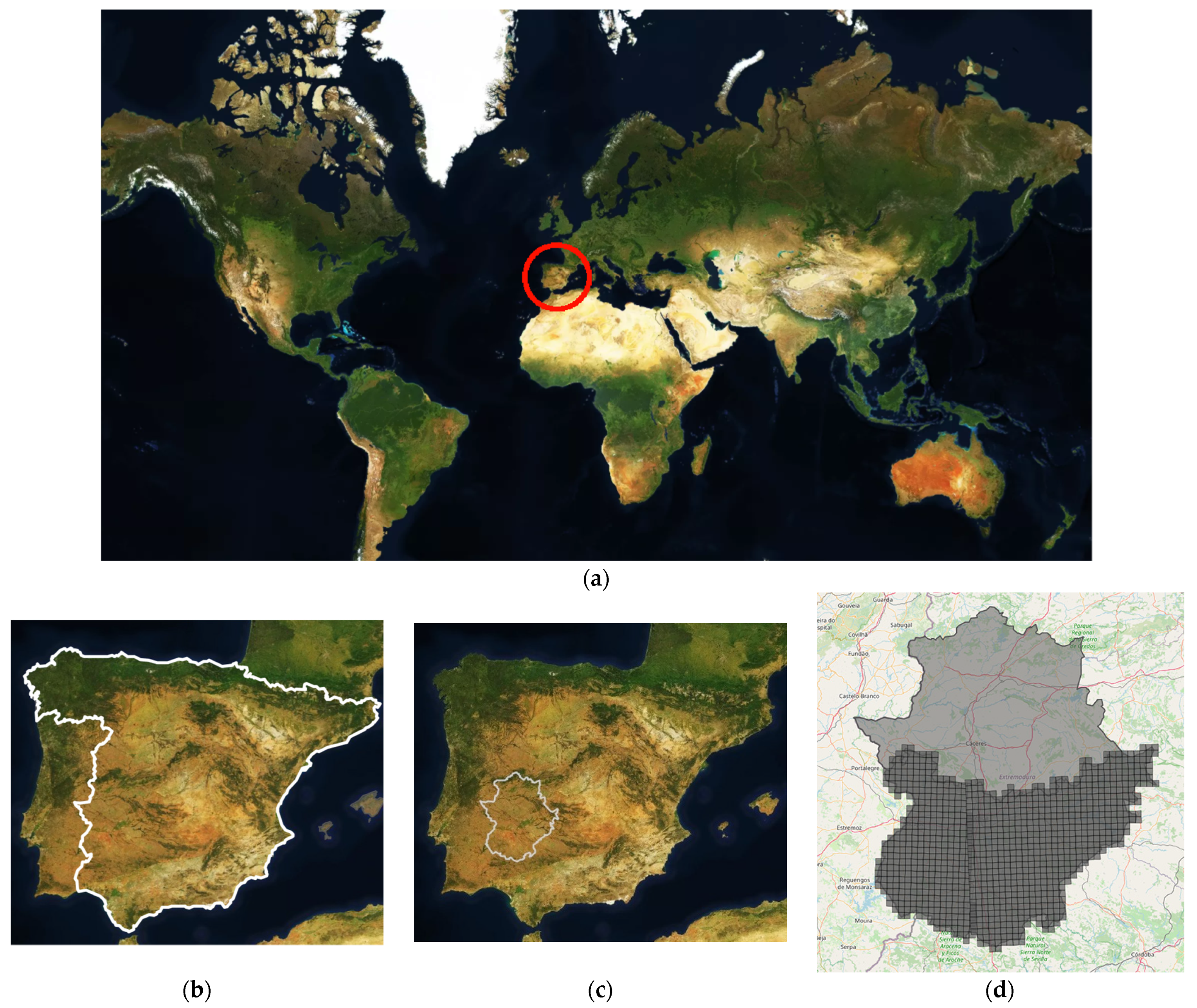 Sensors 23 07132 g002 Sensors 23 07132 g002