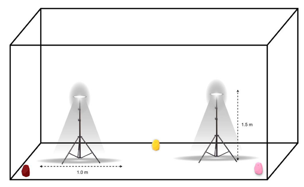 Sensors 23 07199 g006