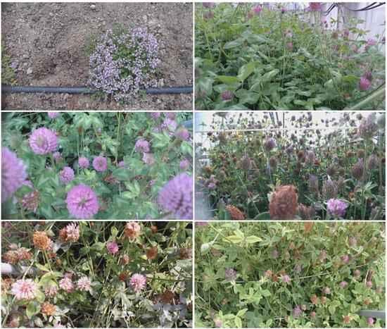 Sensors 23 07242 g001