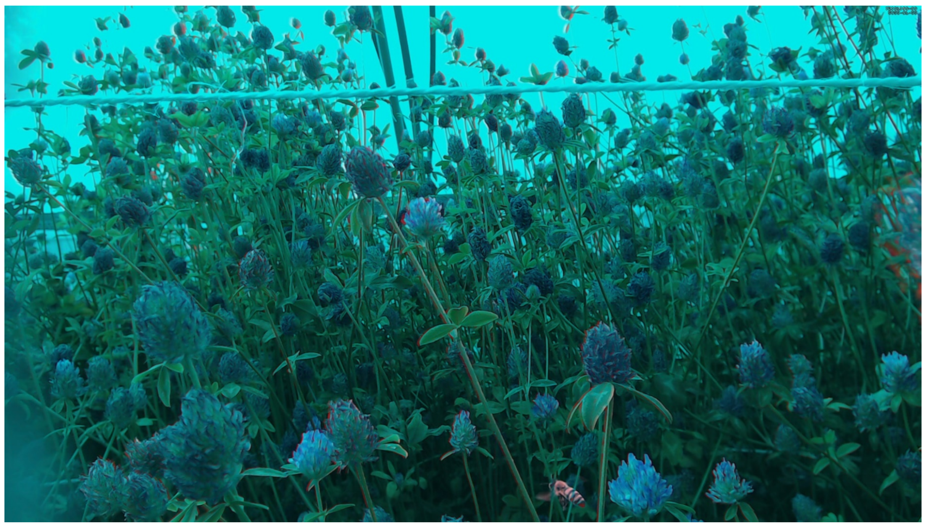 Sensors 23 07242 g003