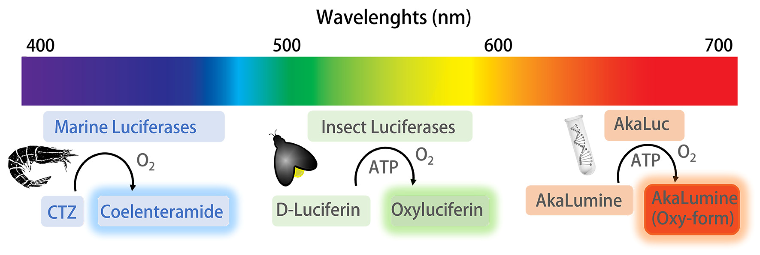 Sensors 23 07244 g002