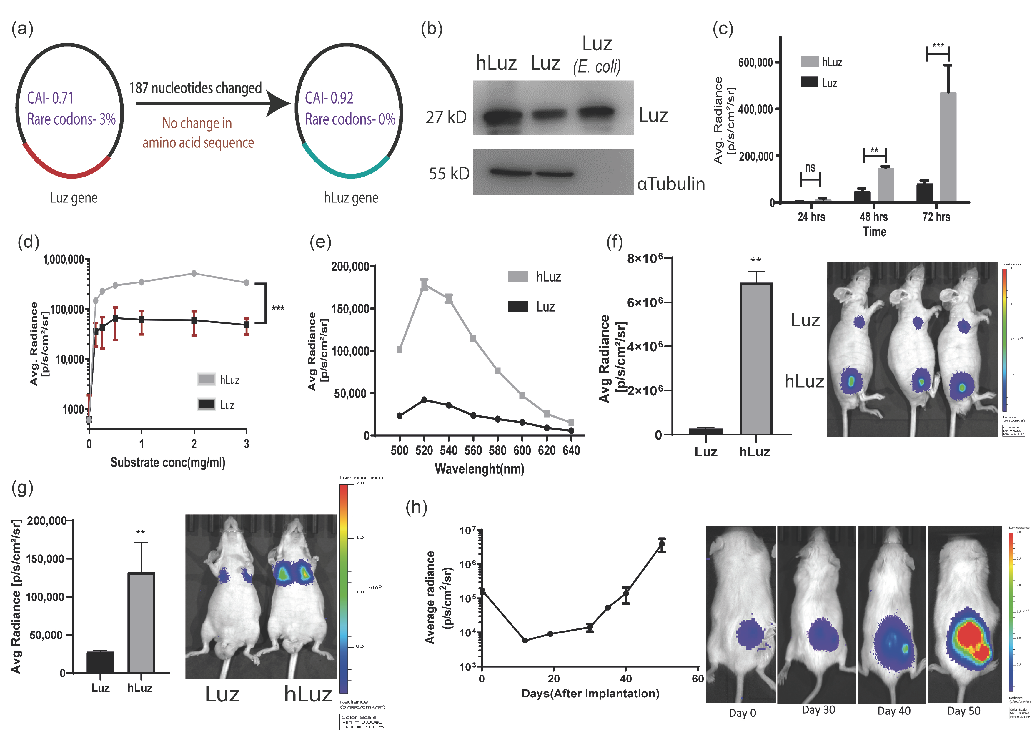 Sensors 23 07313 g001