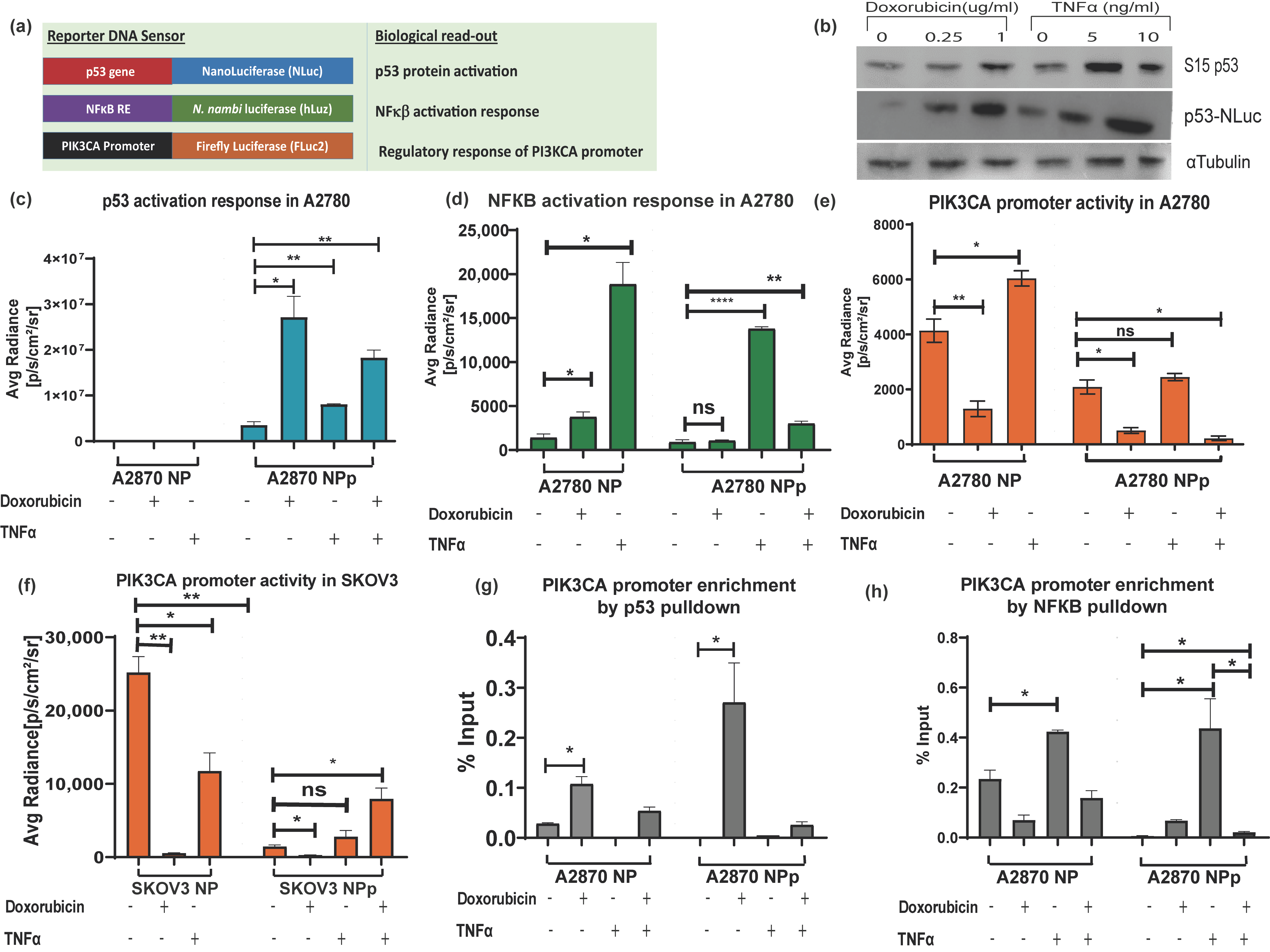 Sensors 23 07313 g004