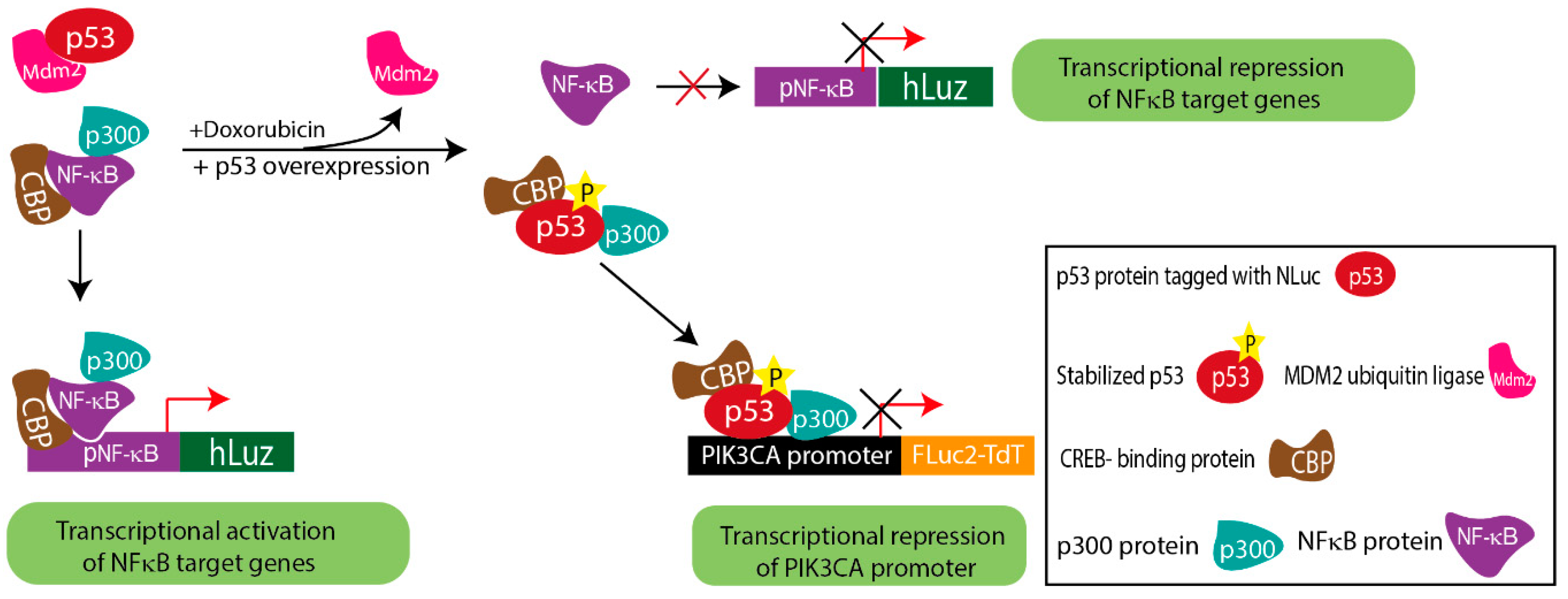 Sensors 23 07313 g005