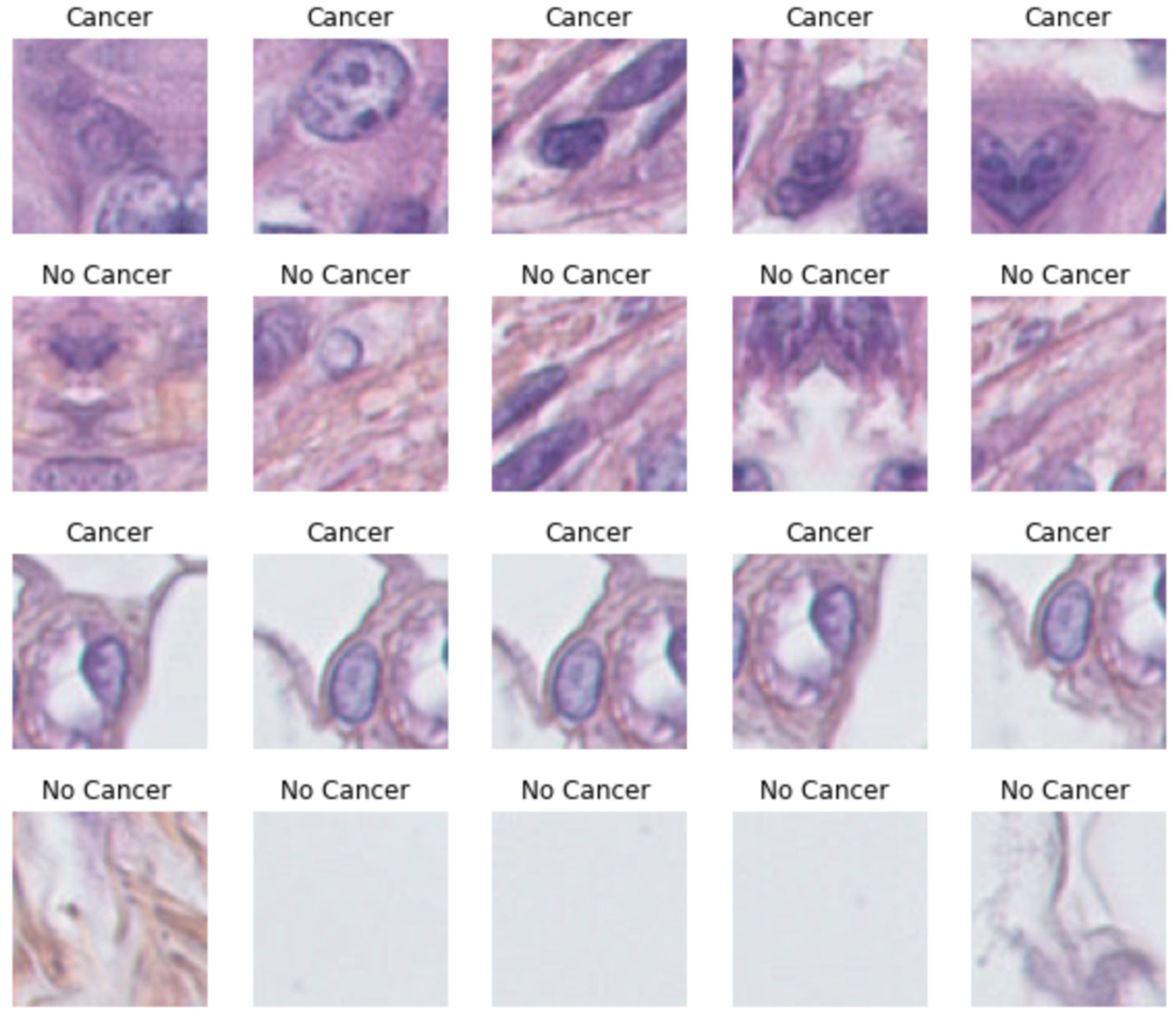 Sensors 23 07318 g005