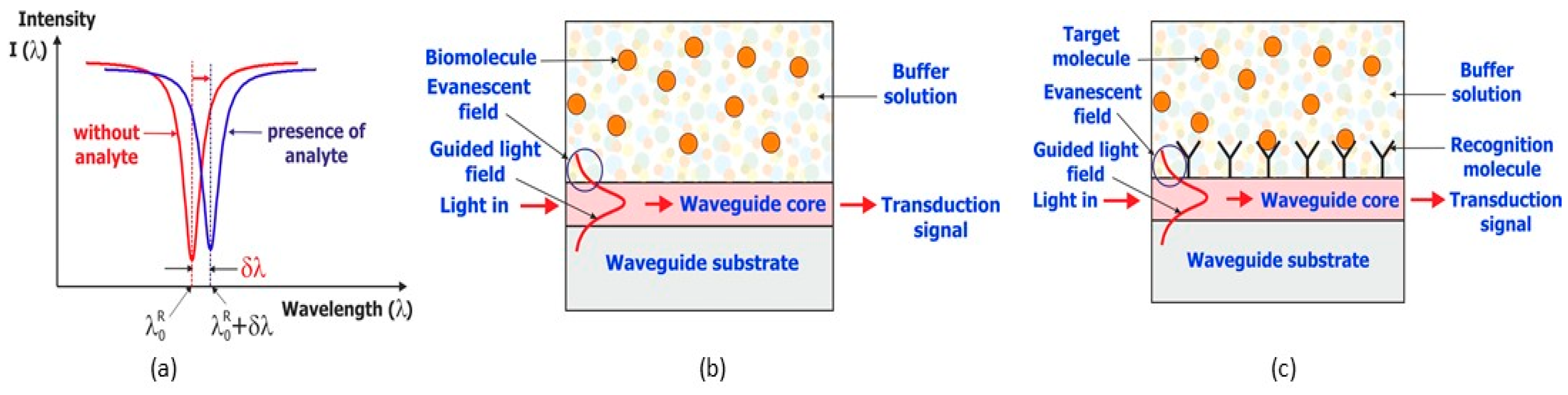 Sensors 23 07373 g001