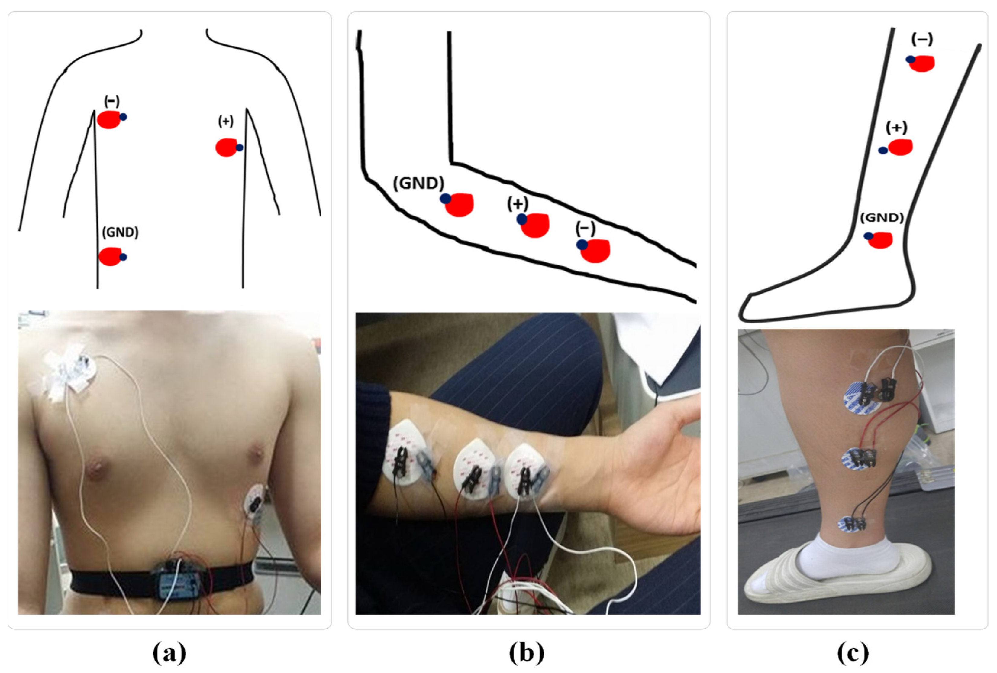 Sensors 23 07377 g001