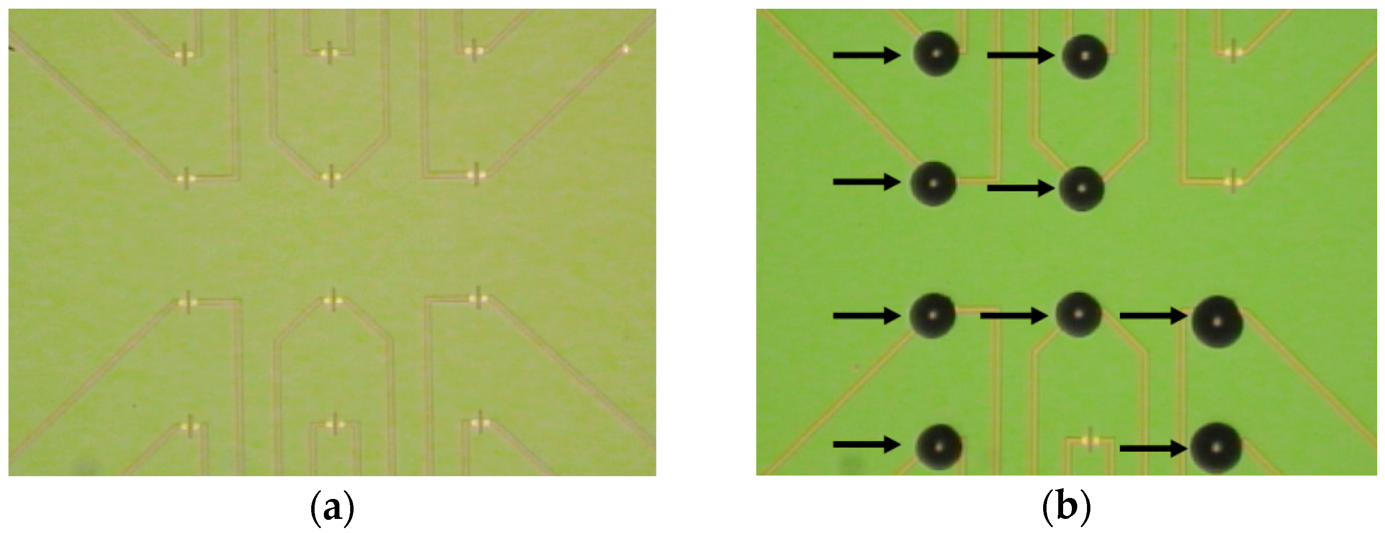 Sensors 23 07527 g003