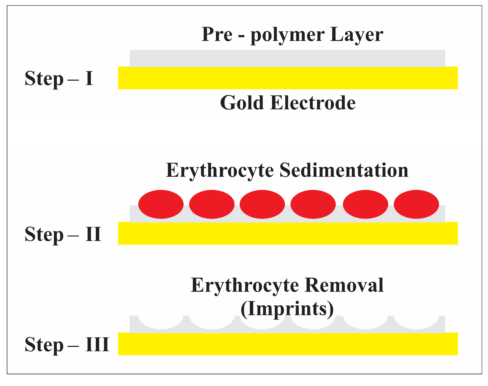 Sensors 23 07533 g002