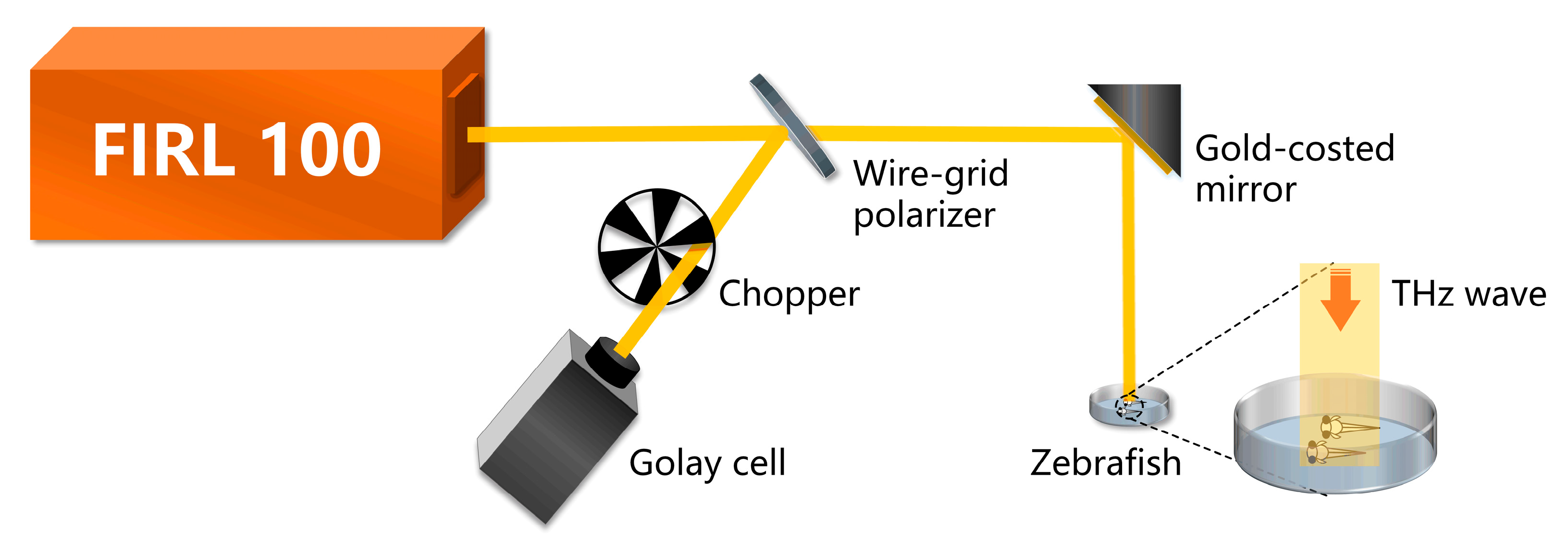 Sensors 23 07689 g001
