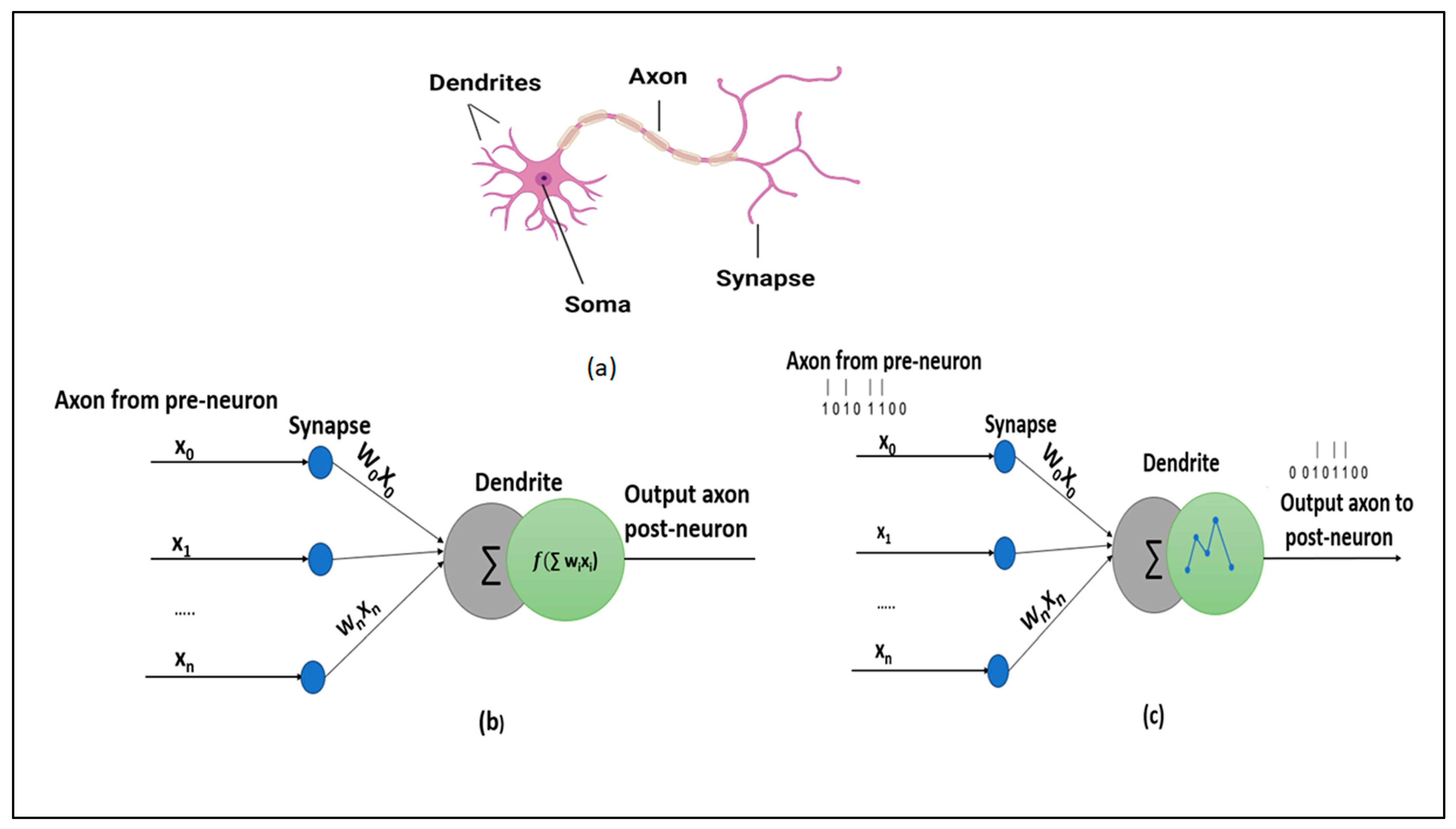 Sensors 23 07701 g001