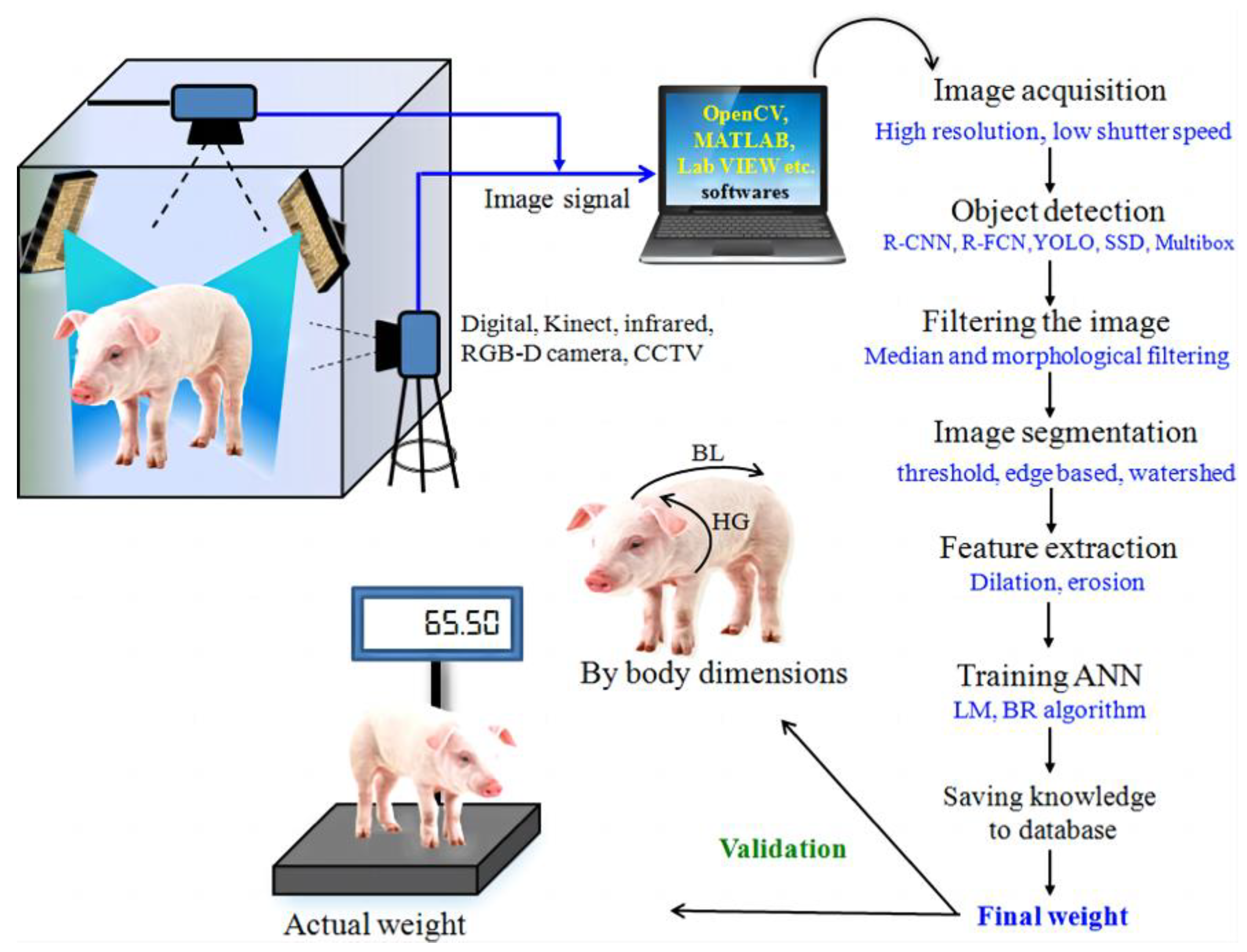 Sensors 23 07730 g001