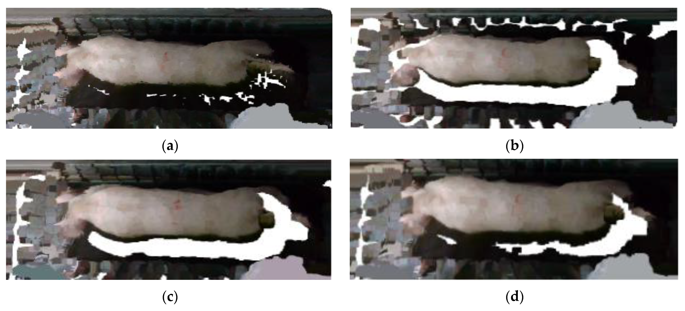 Sensors 23 07730 g015