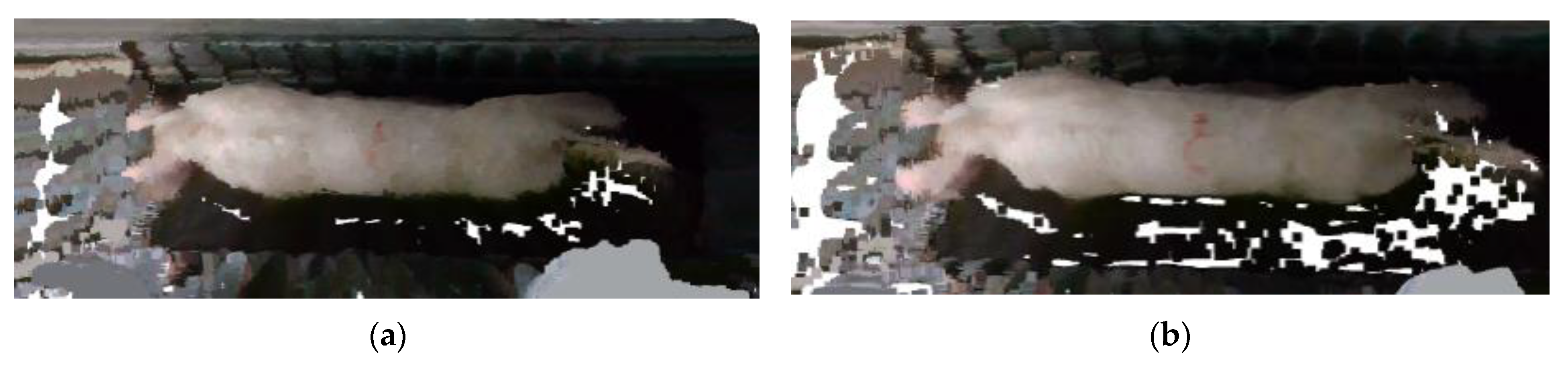 Sensors 23 07730 g016