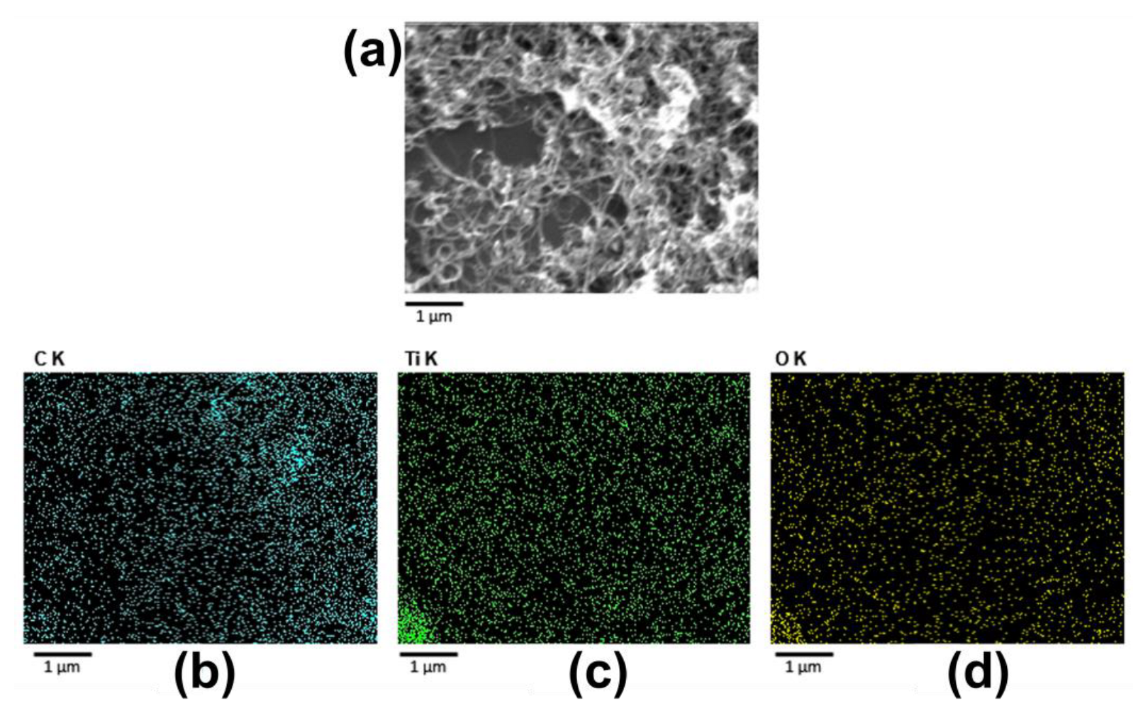 Sensors 23 07732 g007