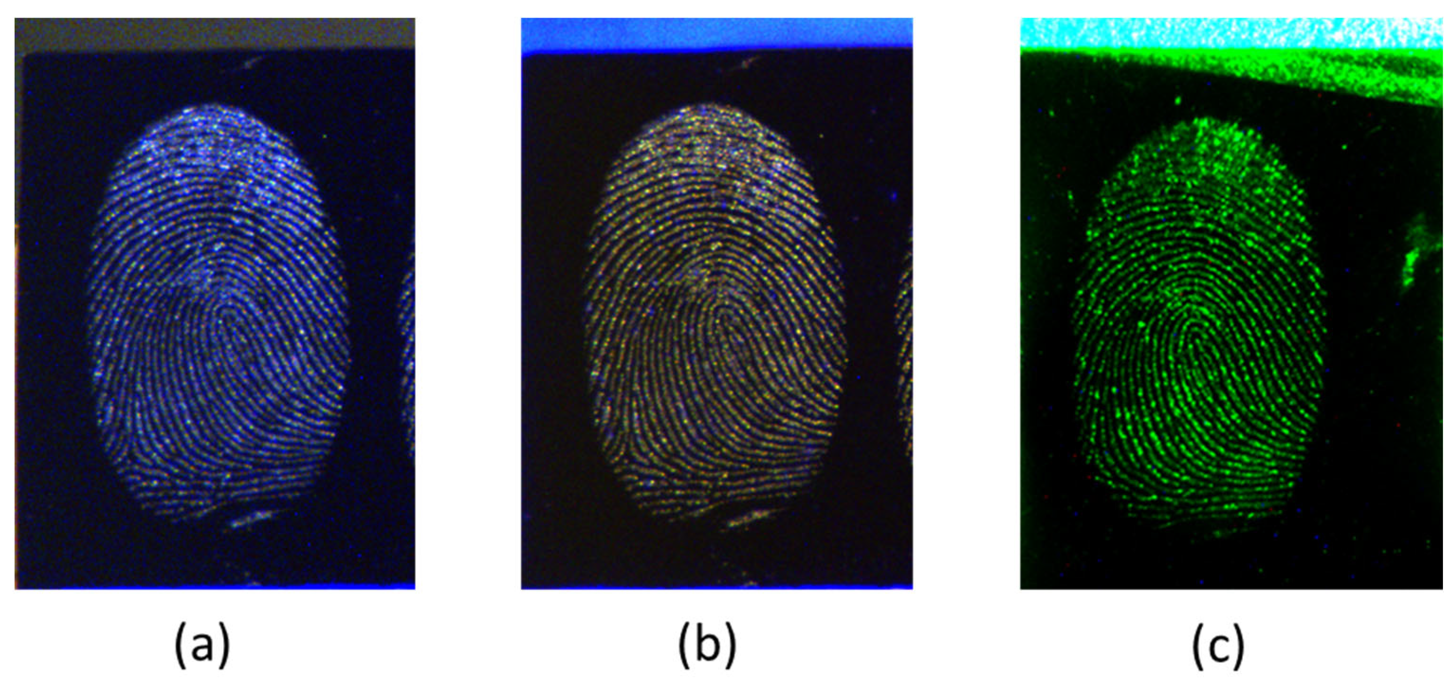 Sensors 23 07736 g009