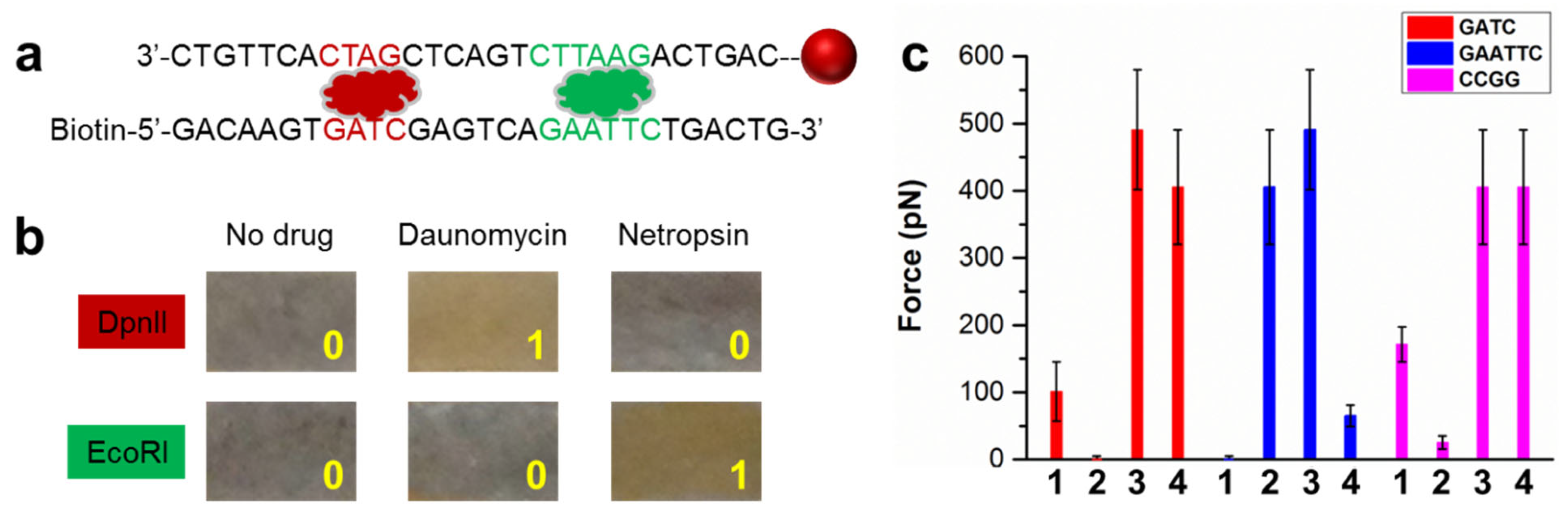 Sensors 23 07762 g004