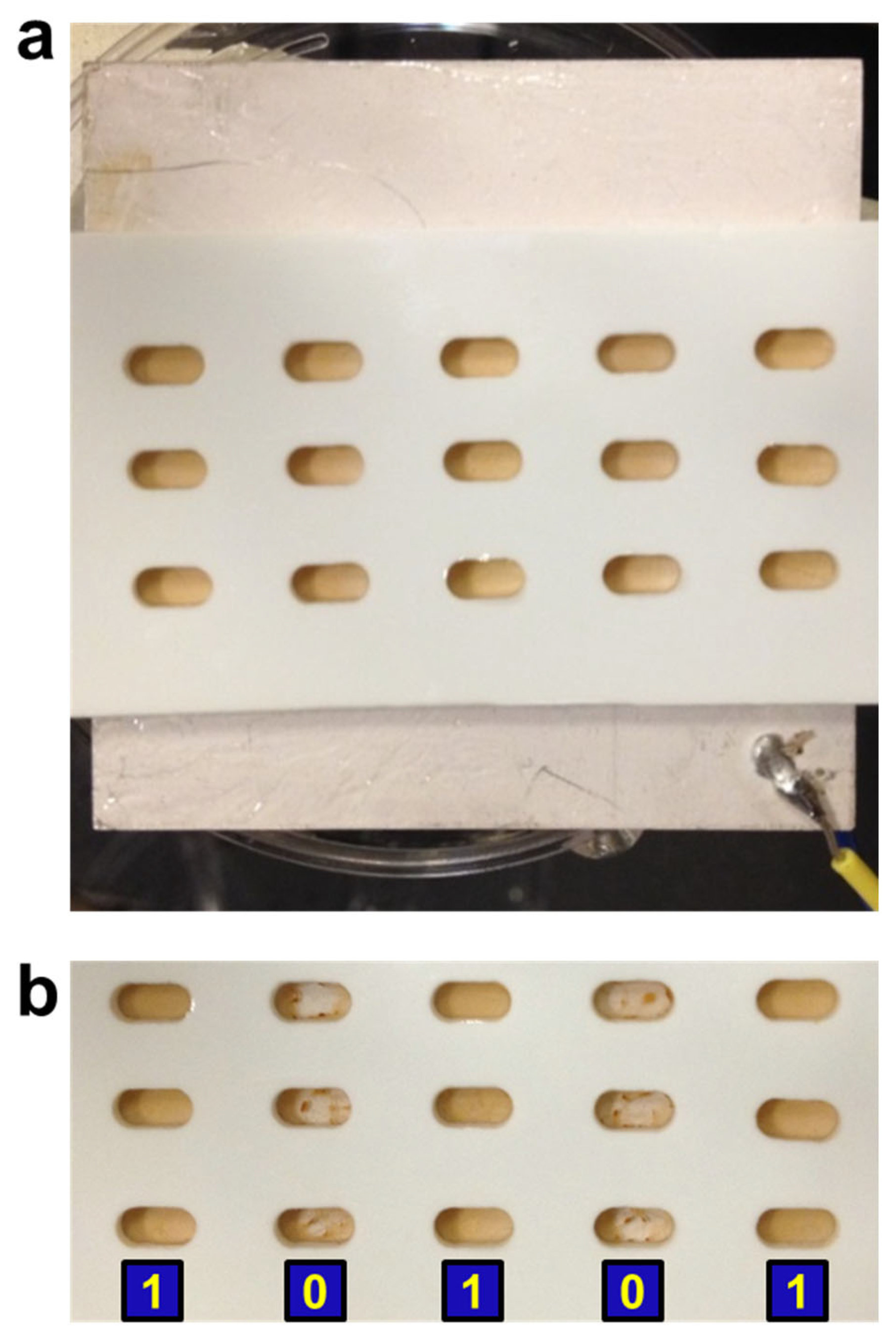 Sensors 23 07762 g006