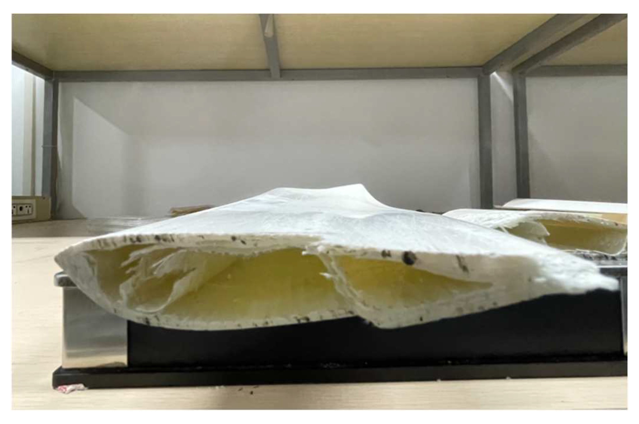 Sensors 23 07821 g013