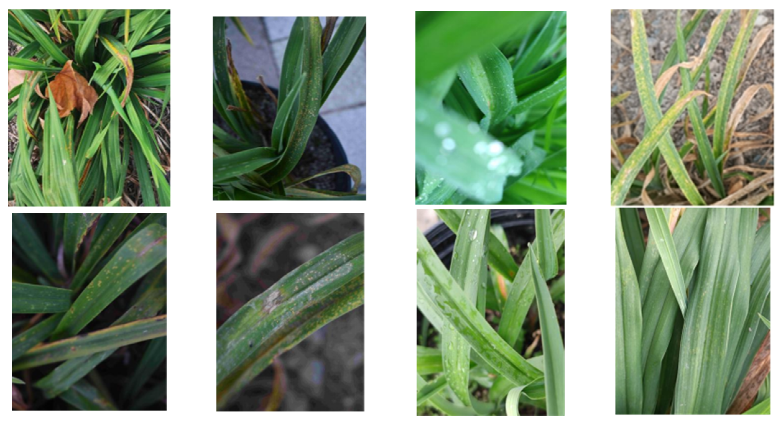 Sensors 23 07879 g011