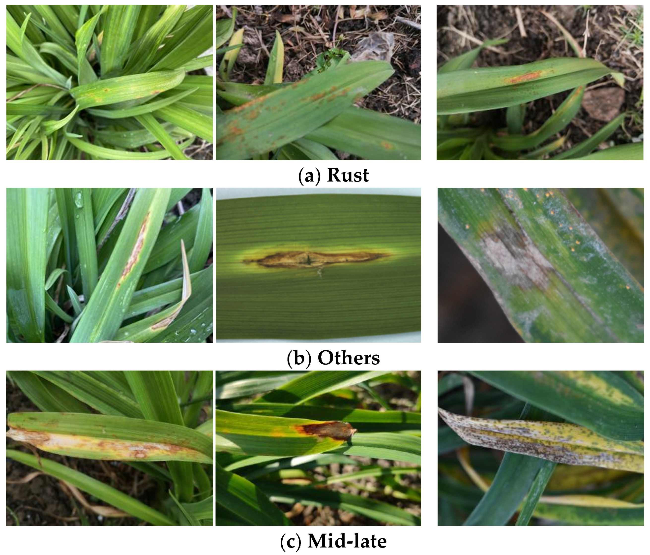 Sensors 23 07879 g013