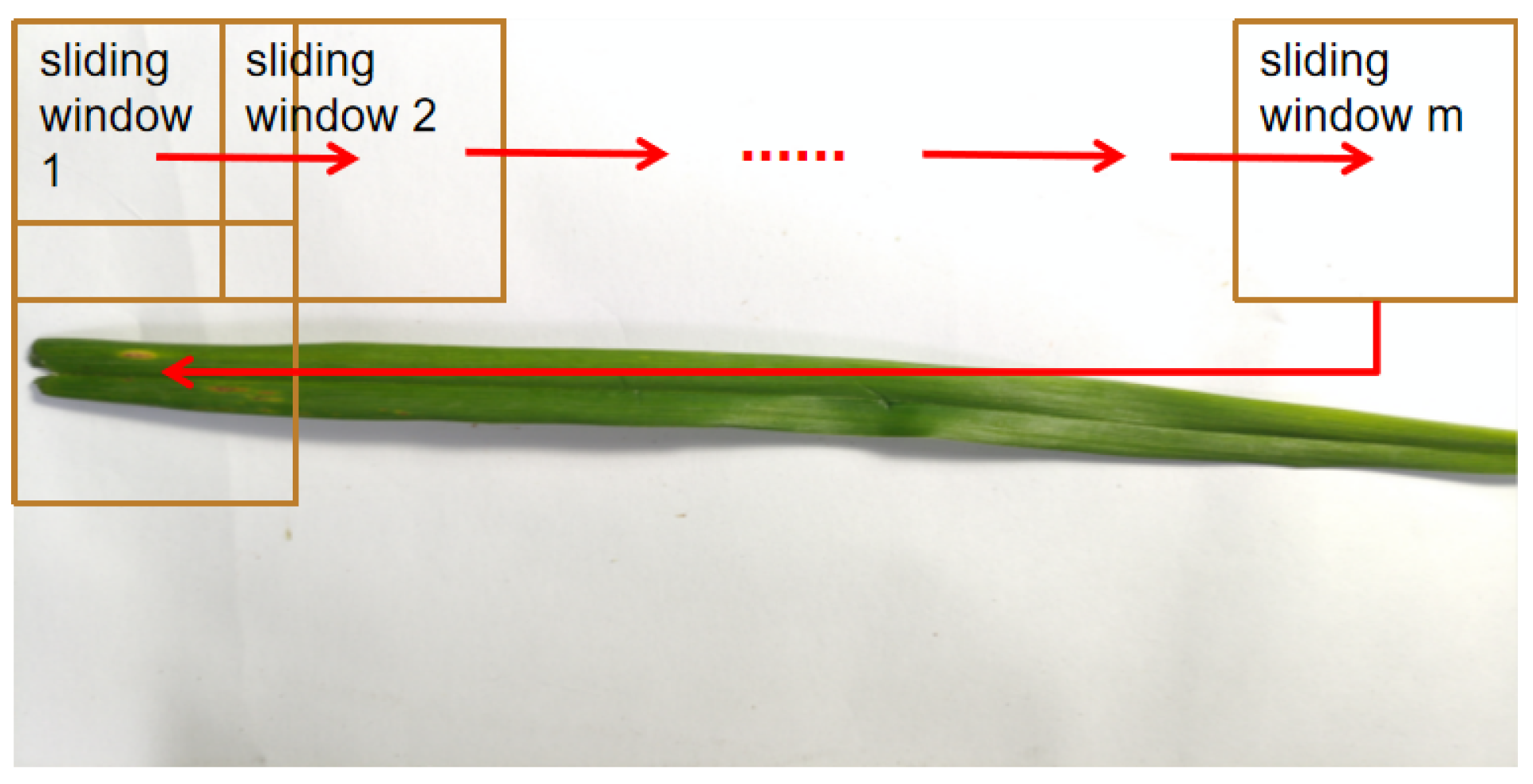 Sensors 23 07879 g015